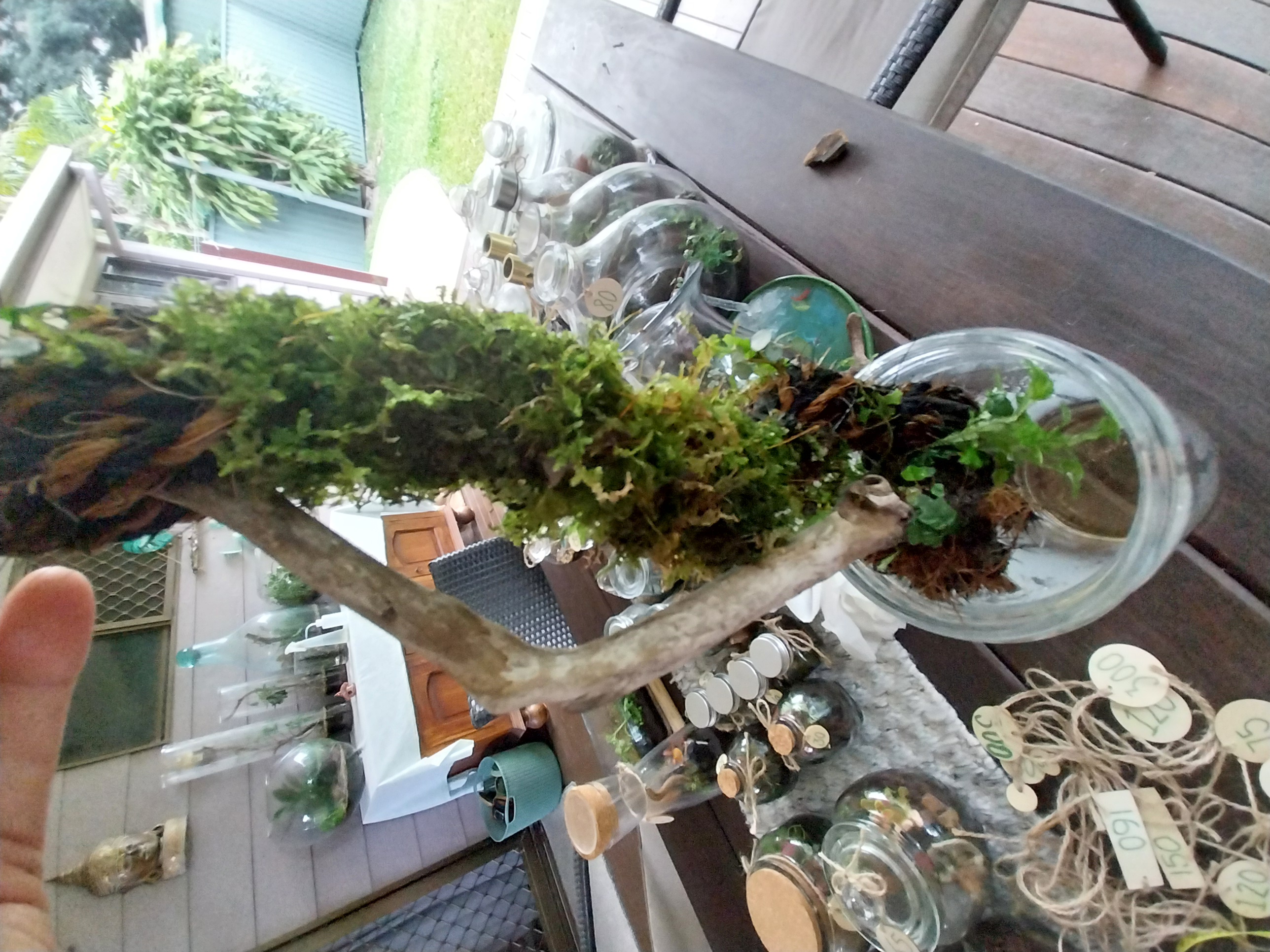 Tall Moss Wick Terrarium