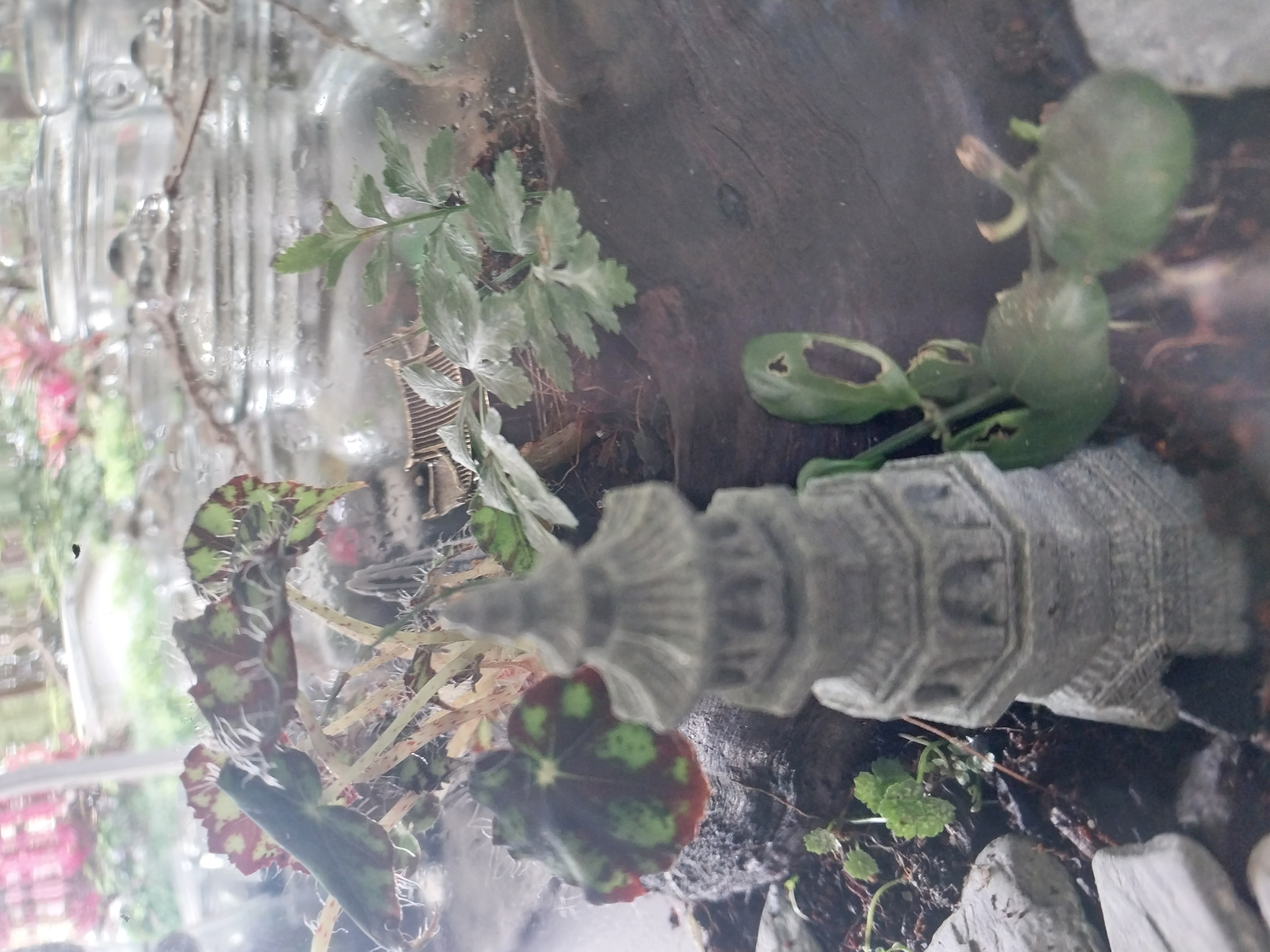 Glass Terrarium with Miniature Pagoda & House 