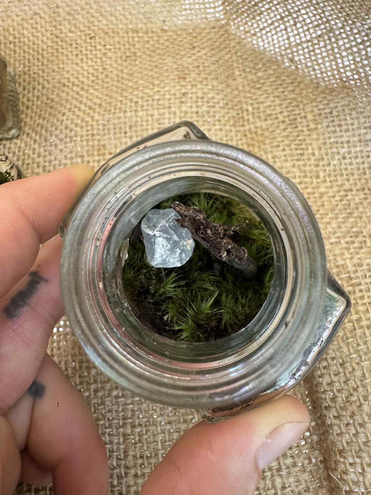 Micro Terrariums 