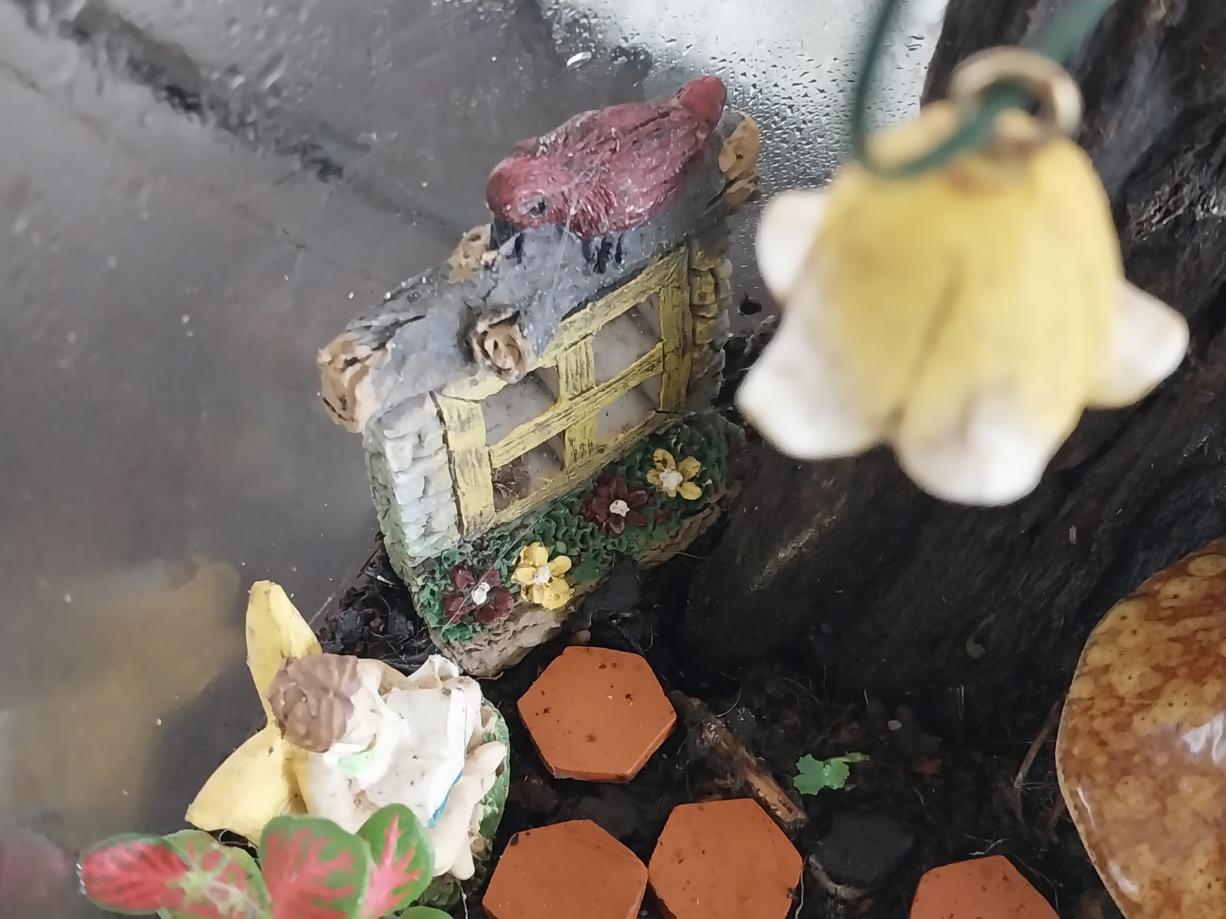 Enchanted Terrarium Jar