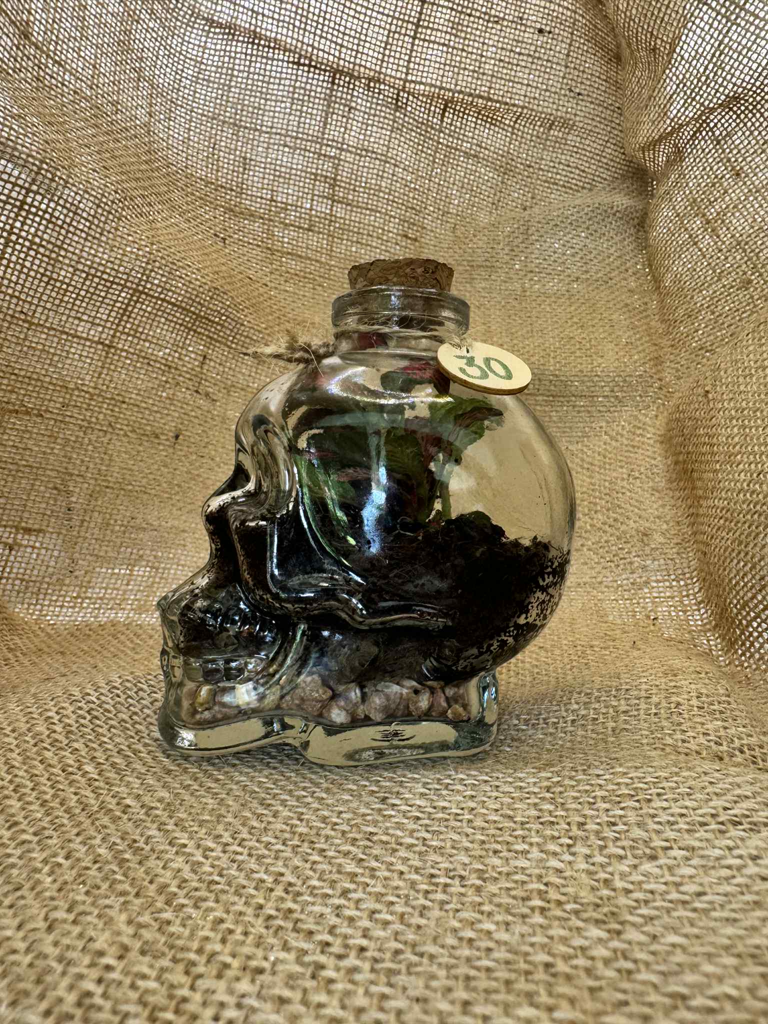 Skull Shaped Glass Bottle