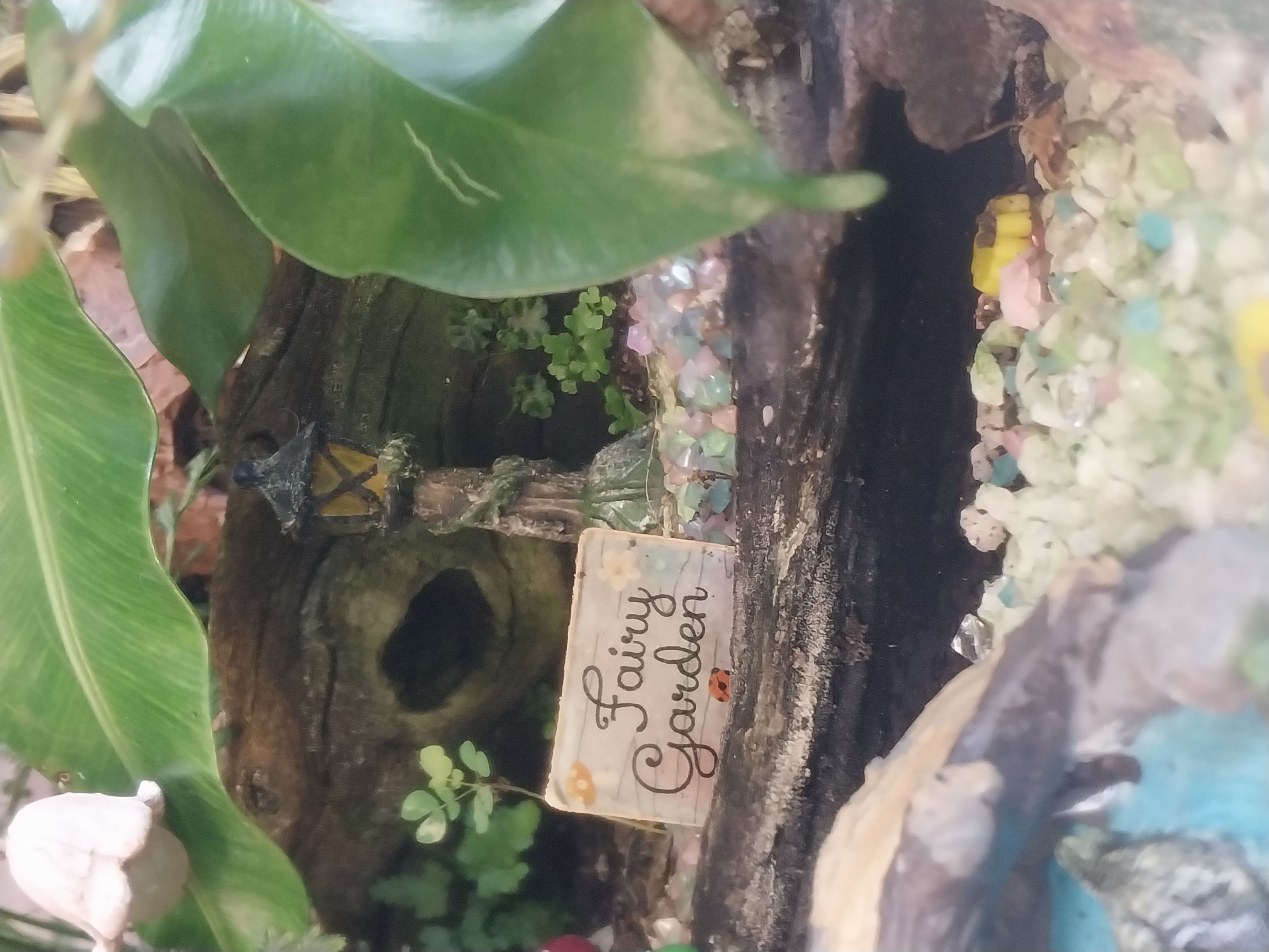 Extra Large Fairy Garden Terrarium