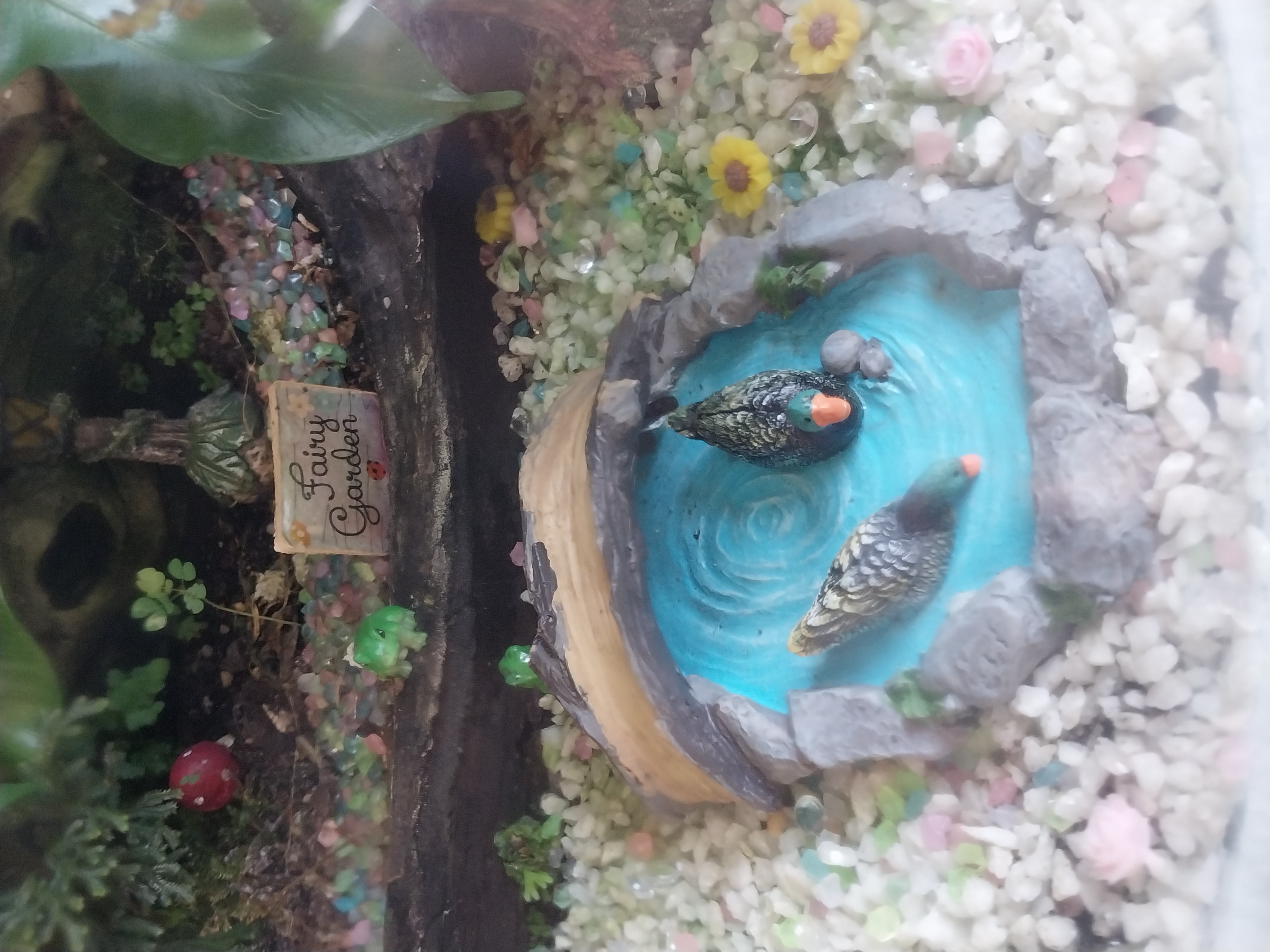 Extra Large Fairy Garden Terrarium