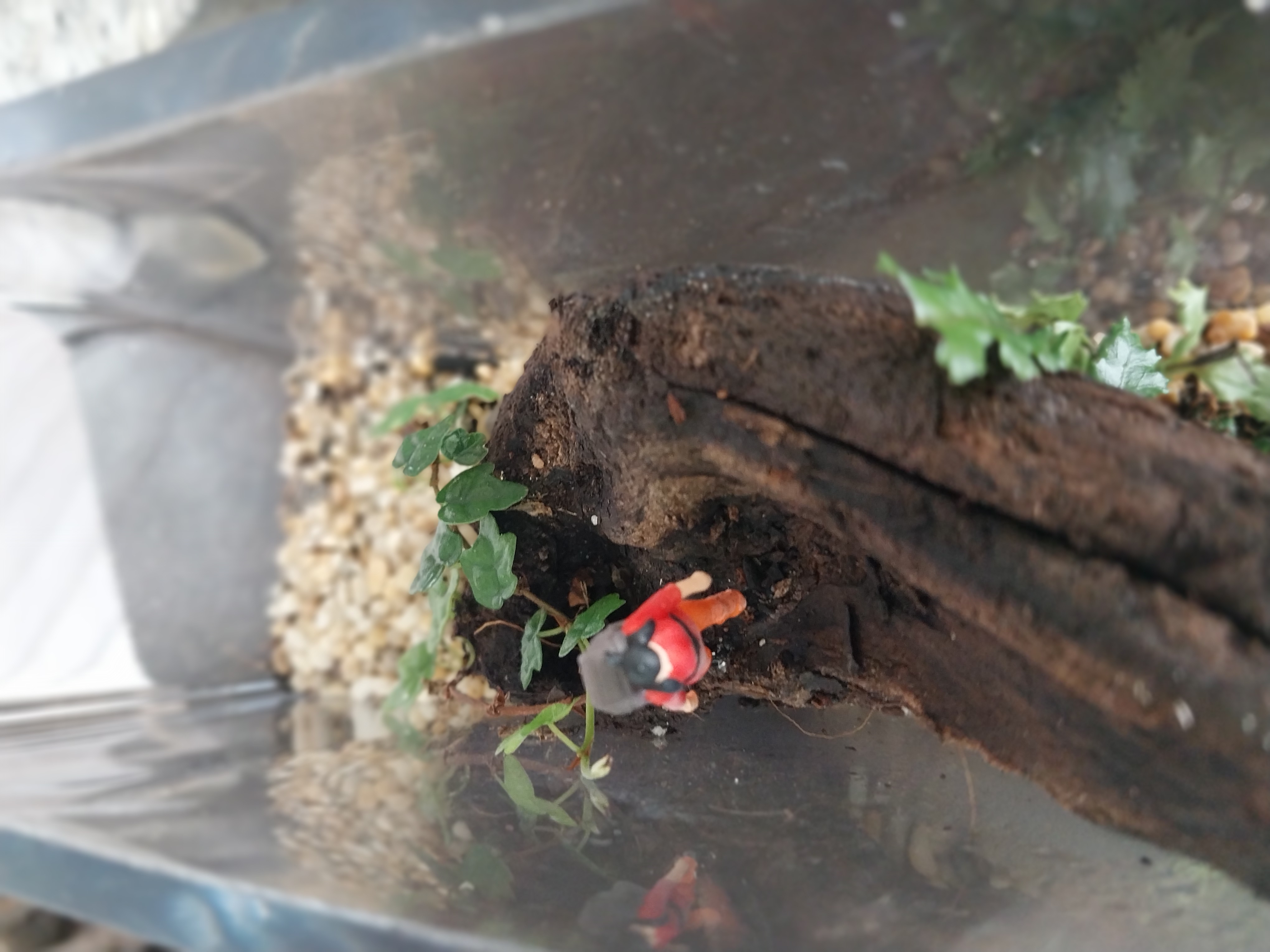 Glass Terrarium with Miniature Hiker