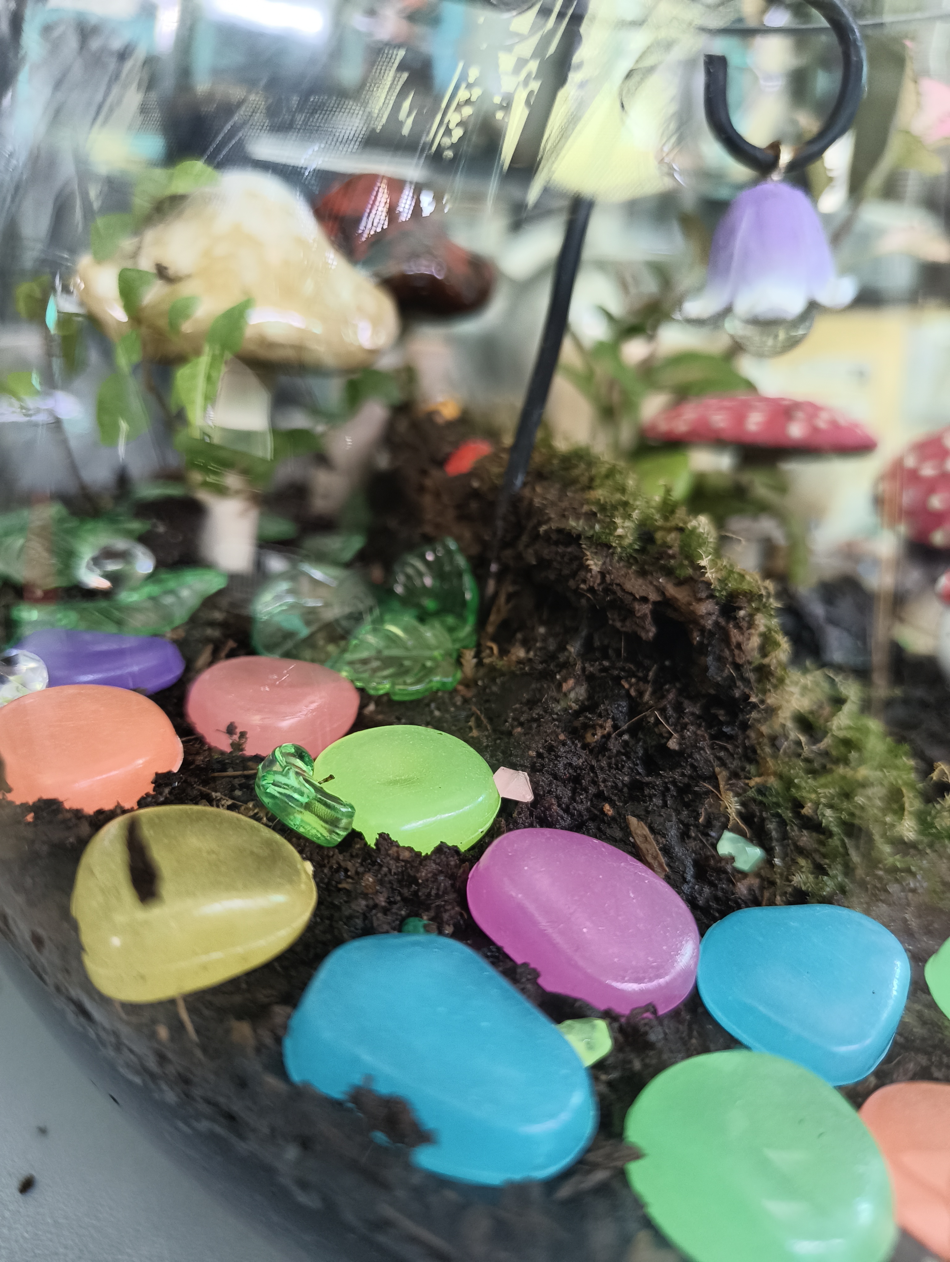 Mushroom Magic