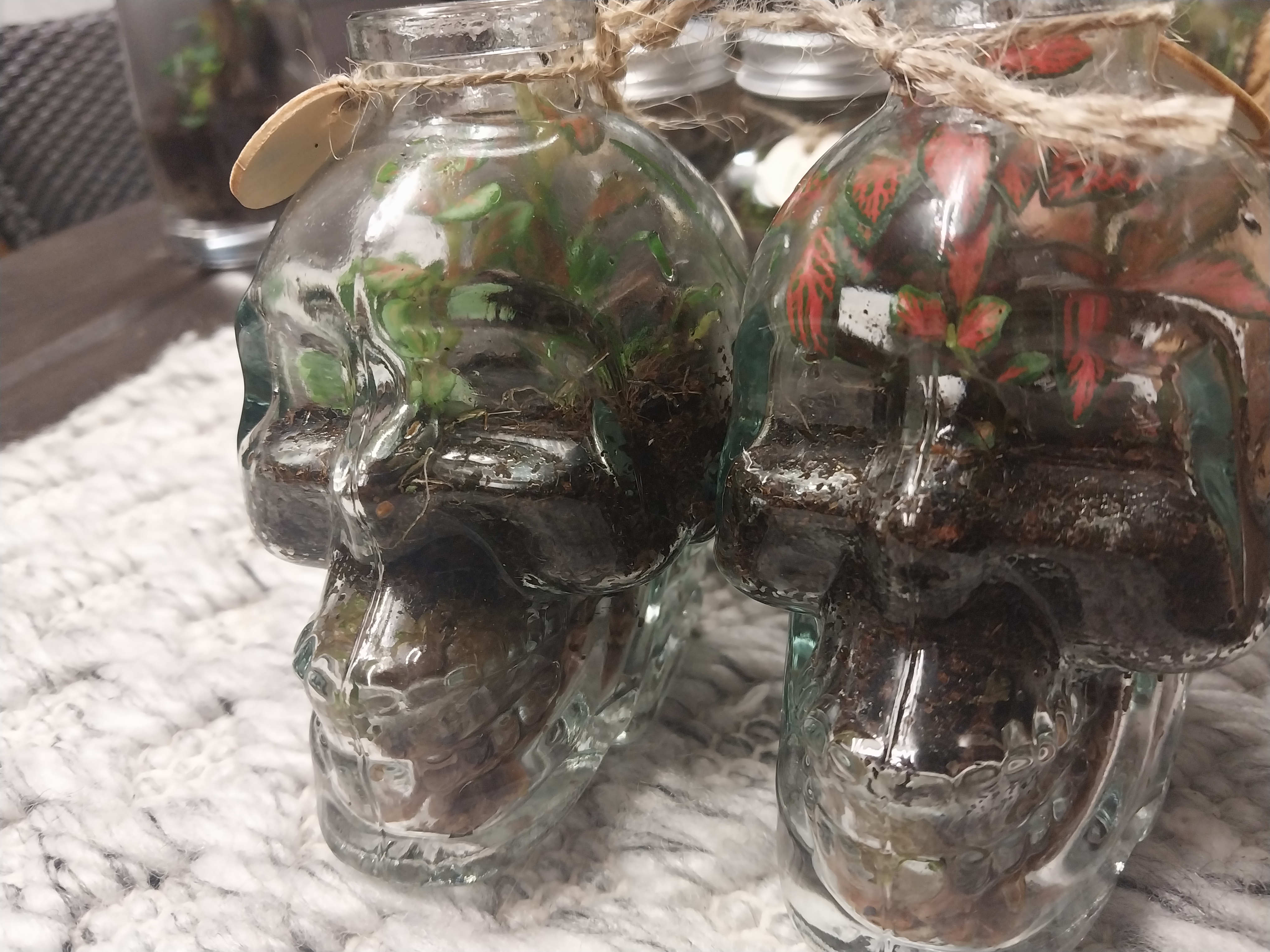 Skull Shaped Glass Bottle