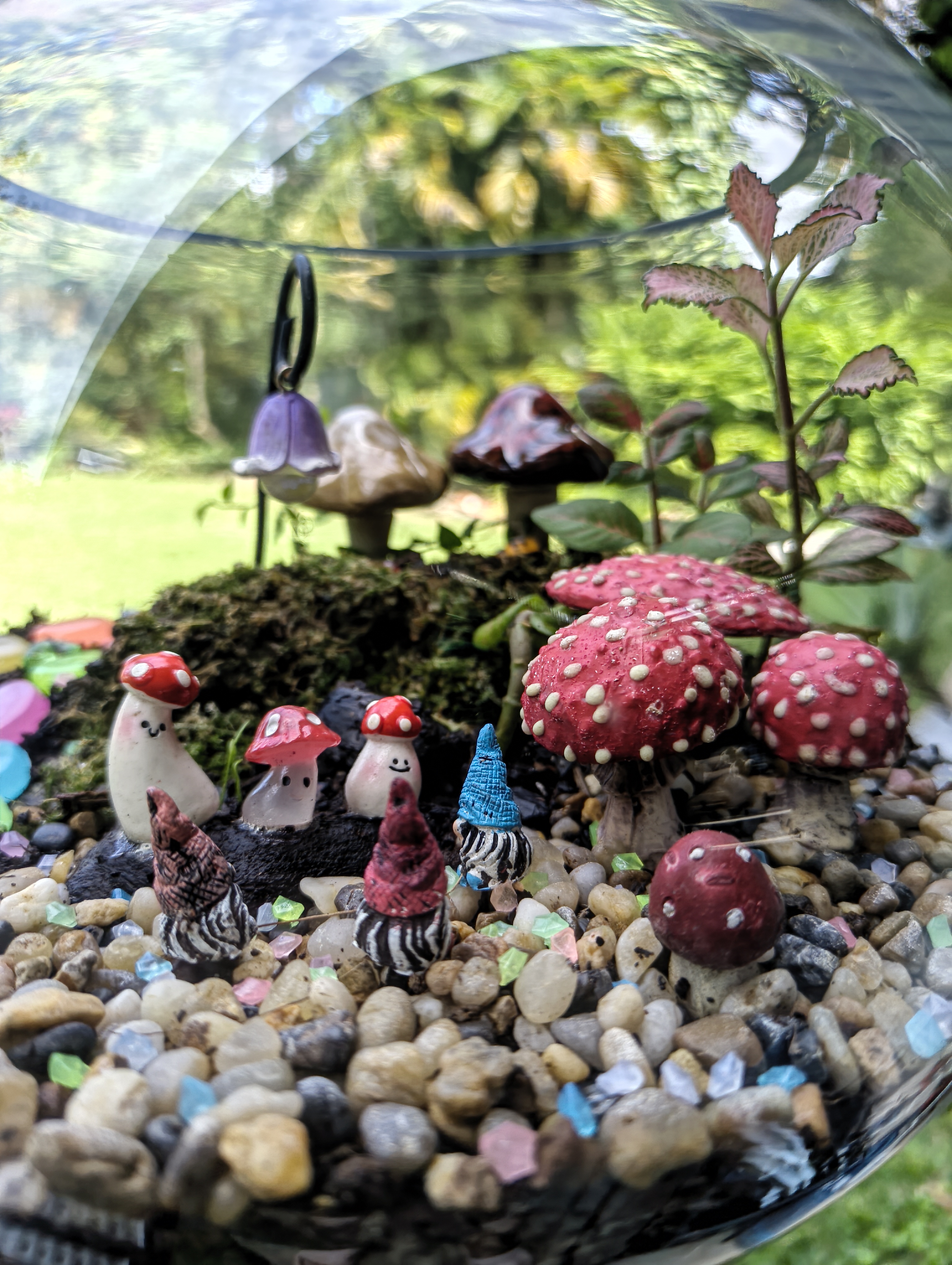 Mushroom Magic