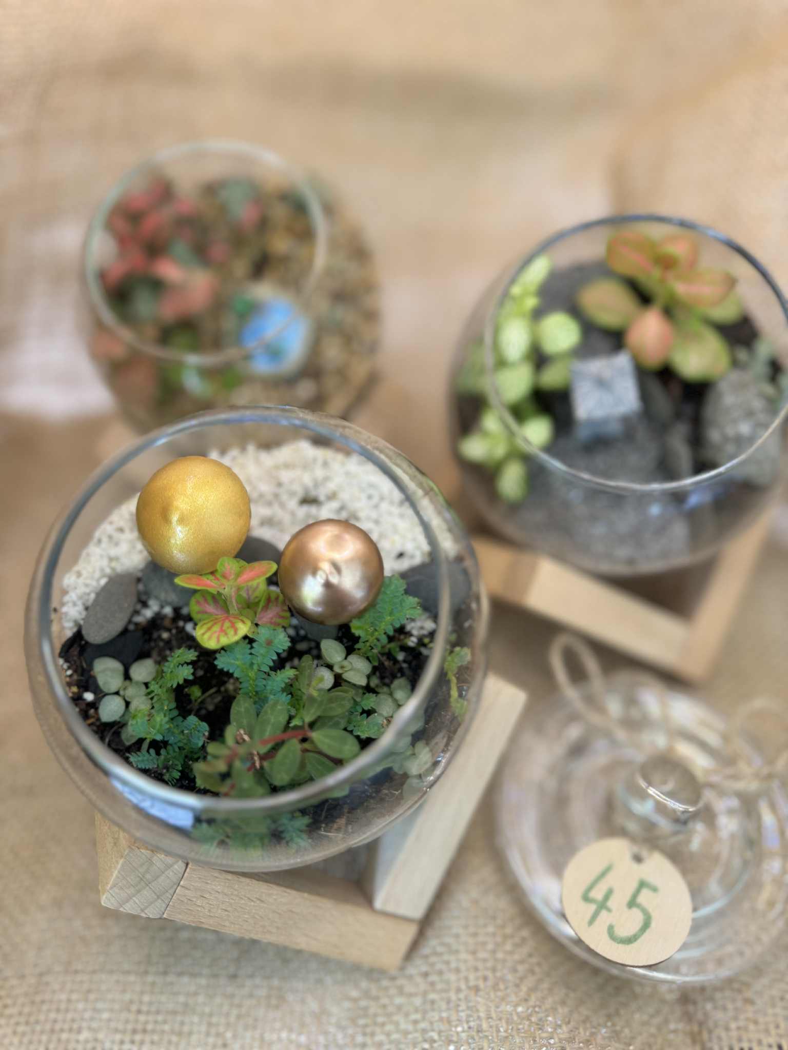 Miniature round terrariums with wooden stands 