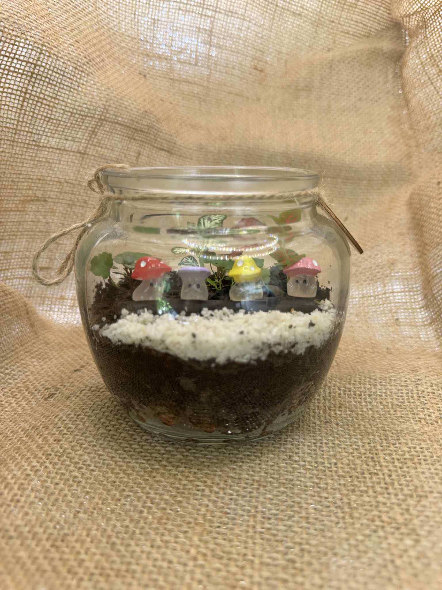 Fun Mini Glass Terrariums (Glow in the dark accents) 