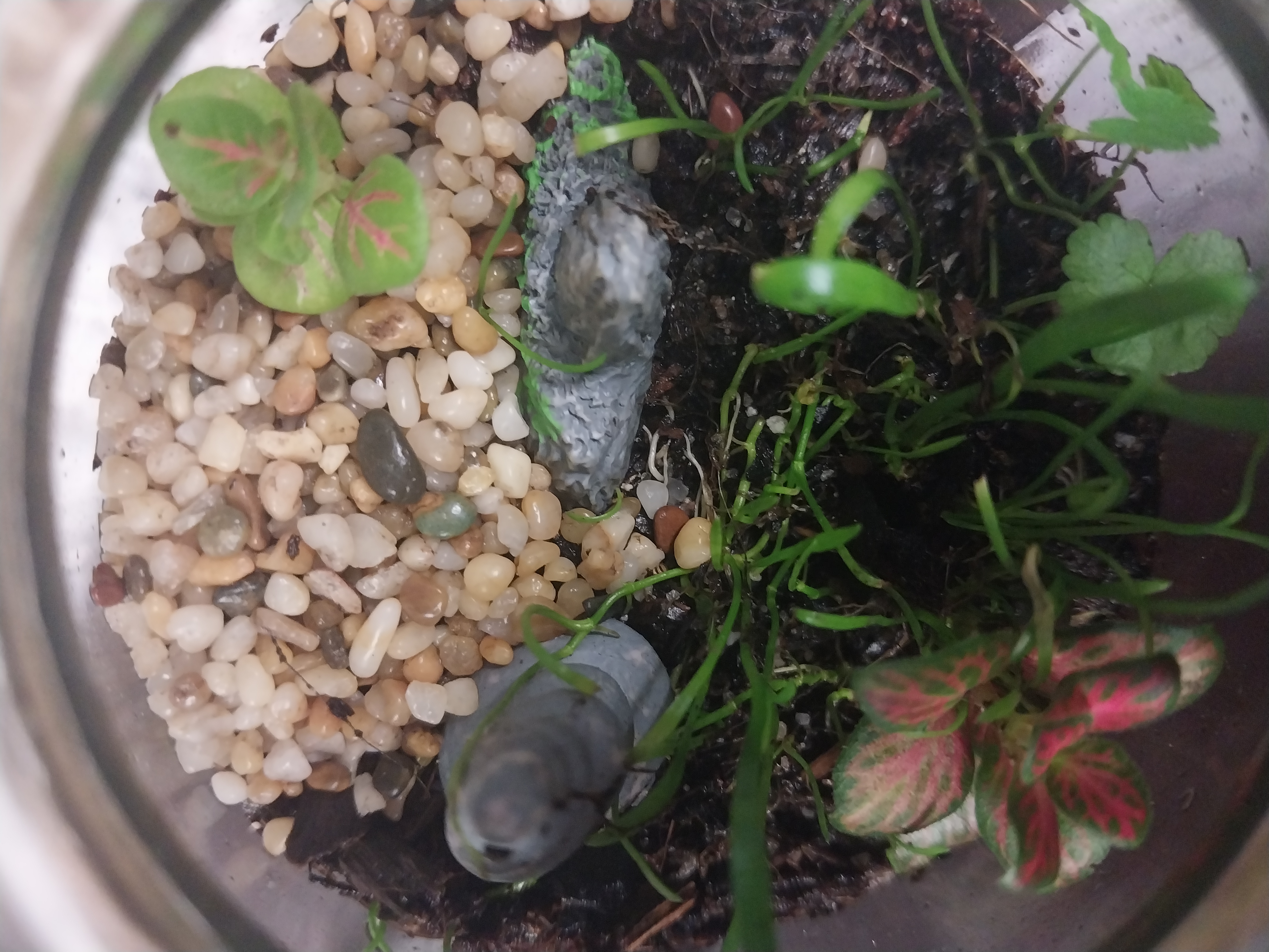 Mini round glass jar 