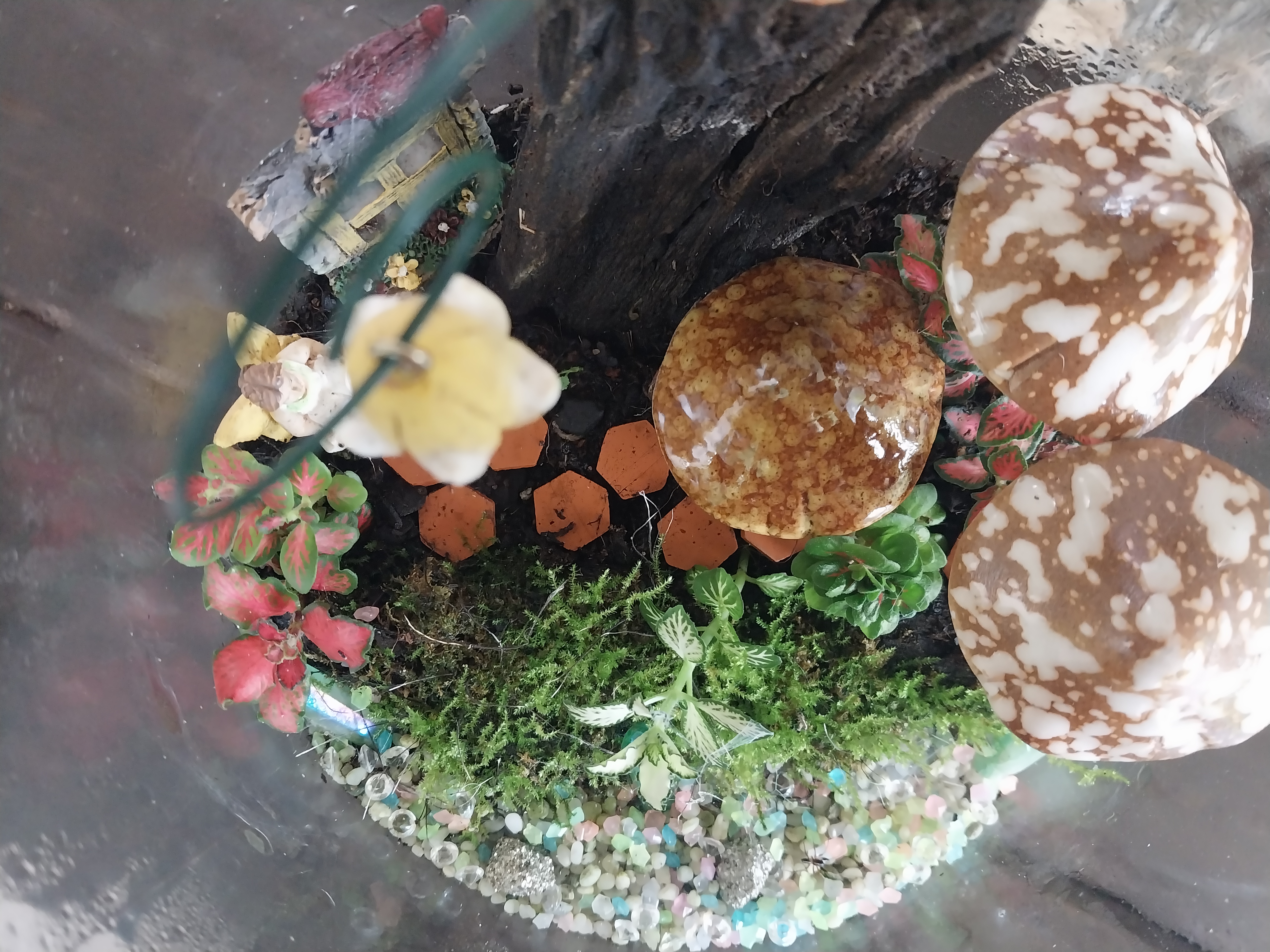 Enchanted Terrarium Jar