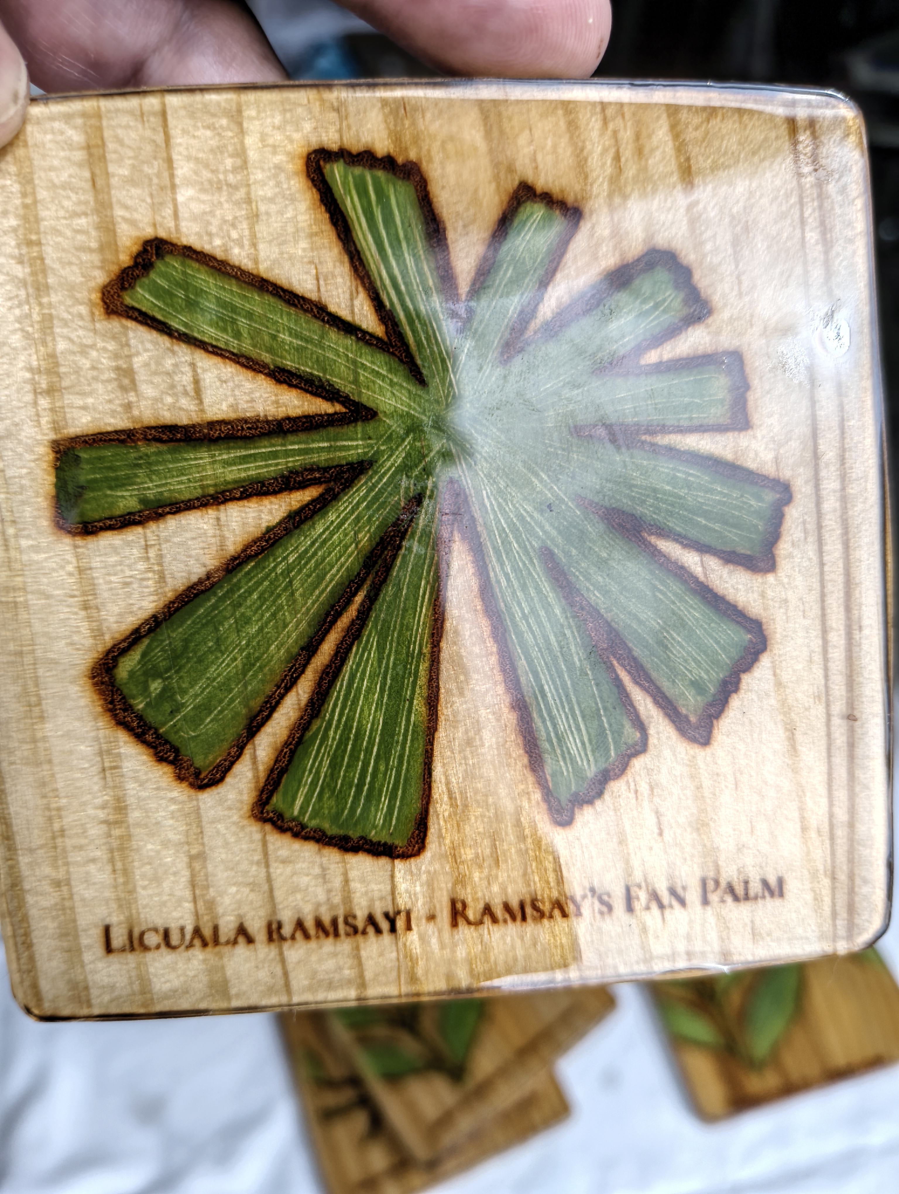 FNQ Endemic Plant Coaster Series