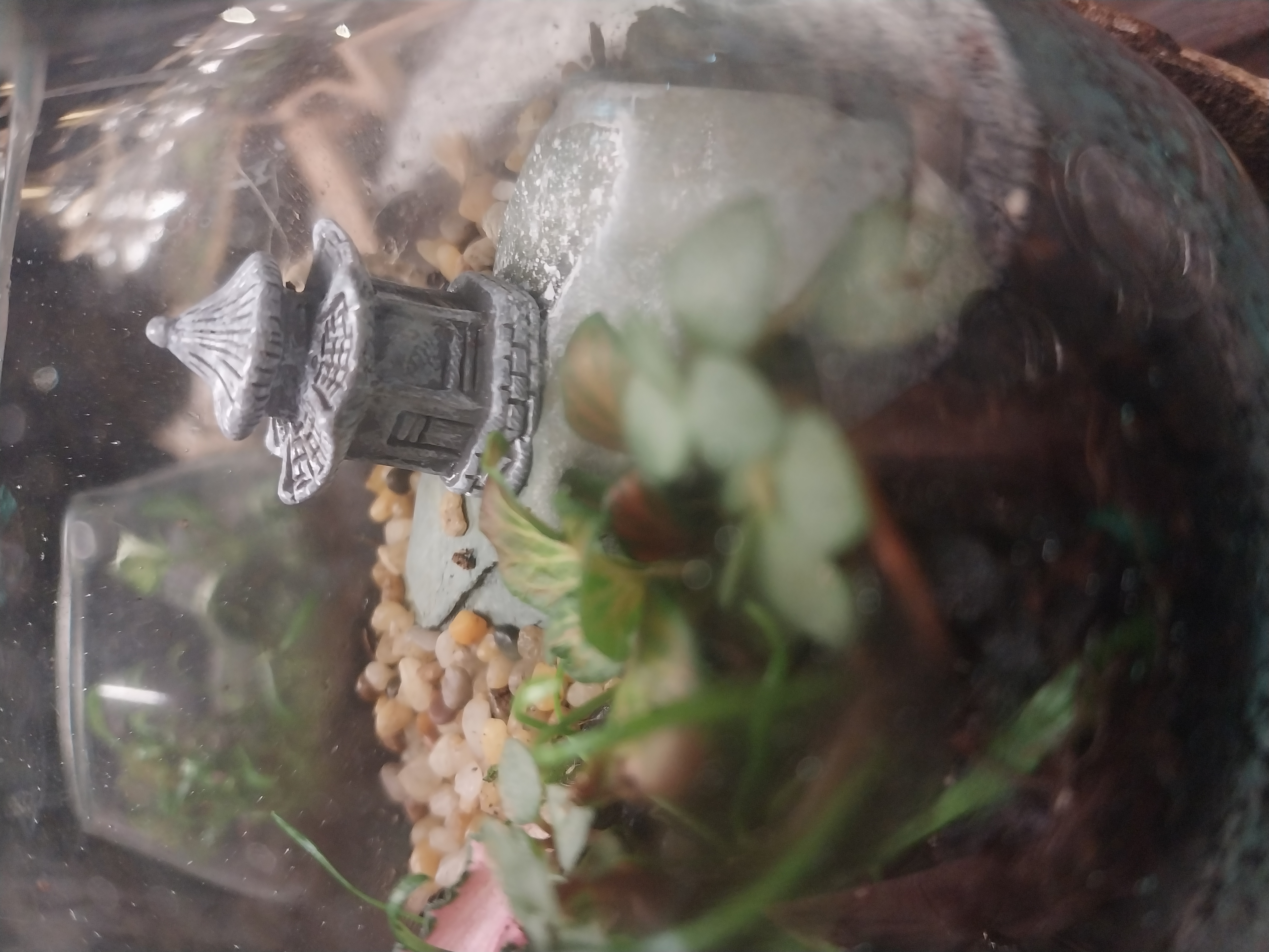 Miniature Zen Garden Terrarium