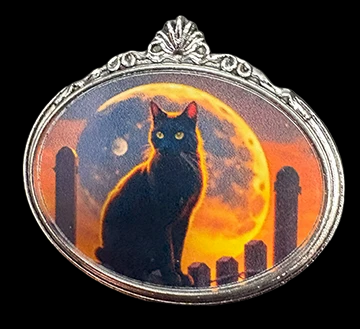 Black Cat Moon Brooch