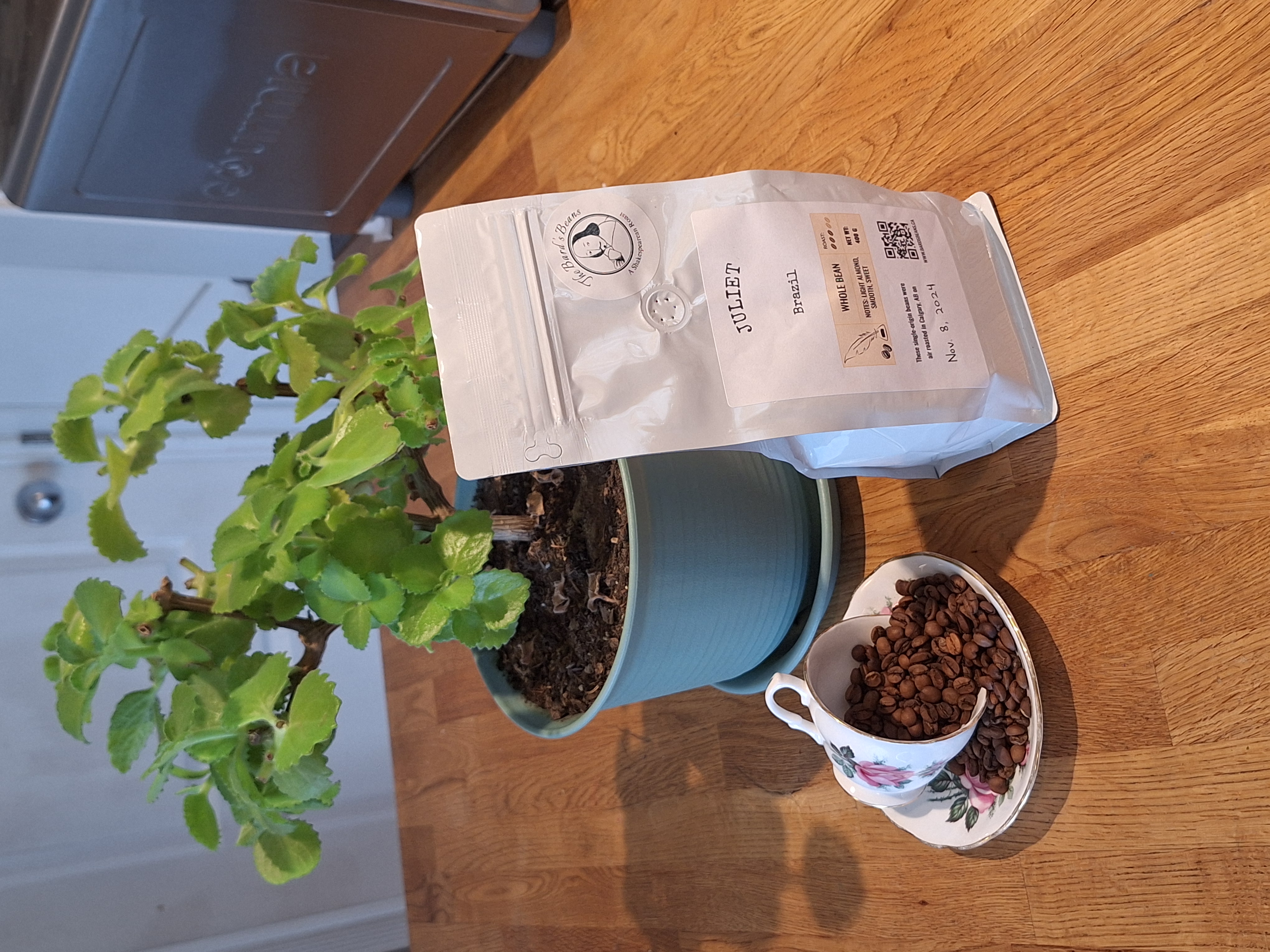 Juliet (Brazil) - Medium Roast - Pack of 3 (400g x3)