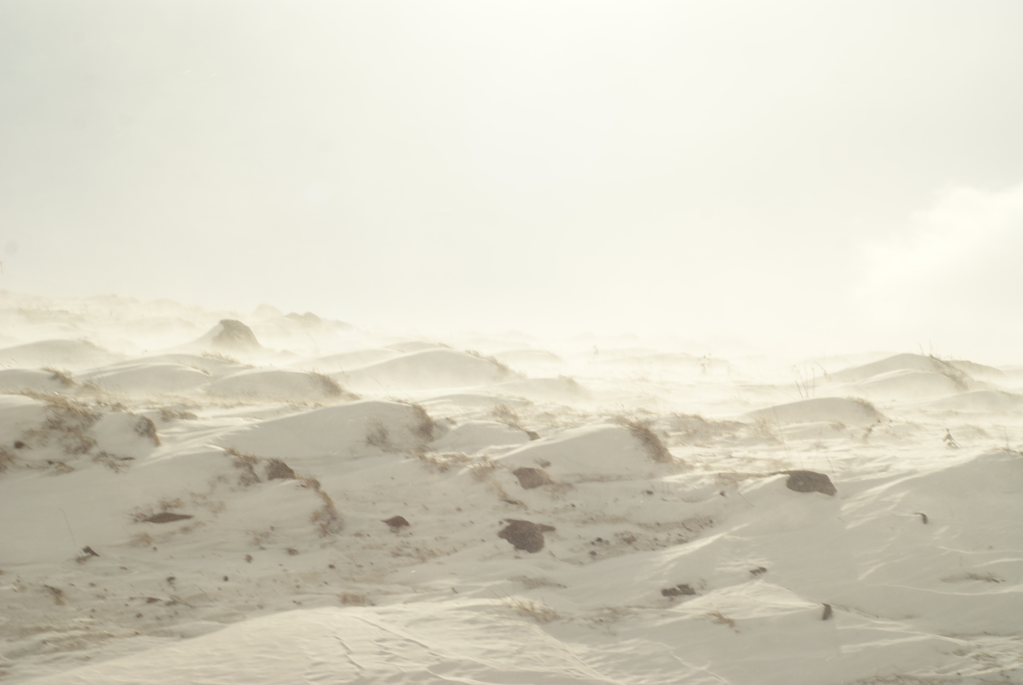 Snow, White