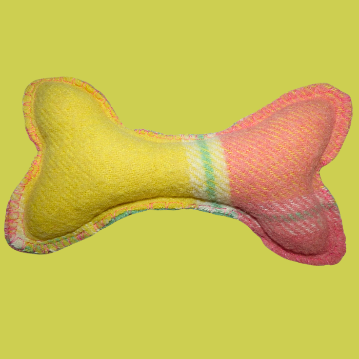 Dog Bone, Medium multi-coloured