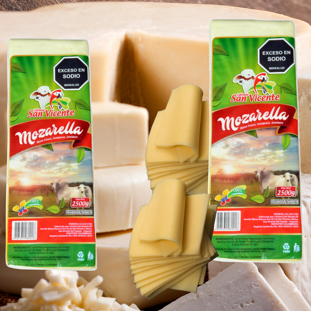 QUESO TIPO MOZARELLA SAN VICENTE BLOQUE/TAJADO