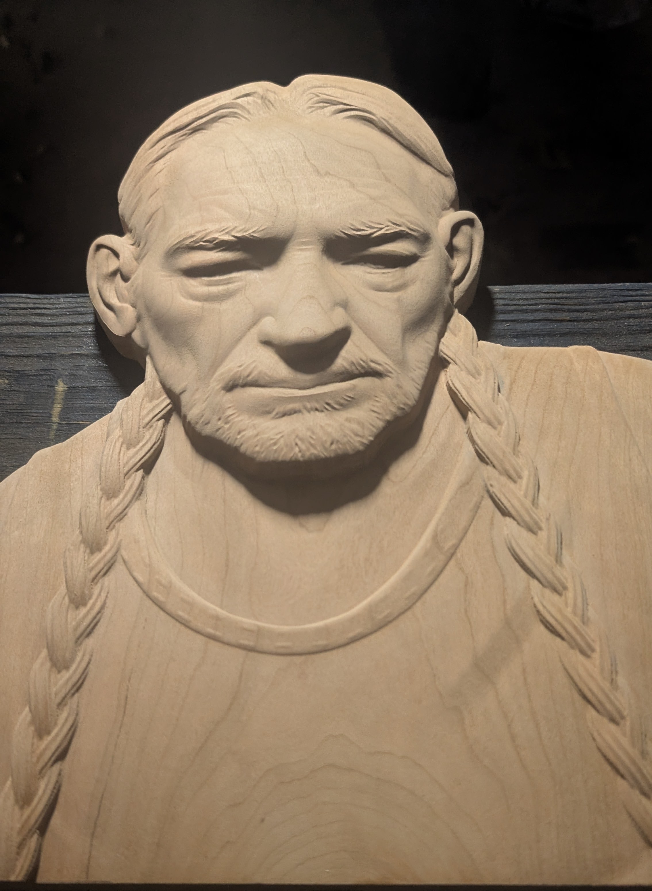 Willie Nelson 3d Portrait