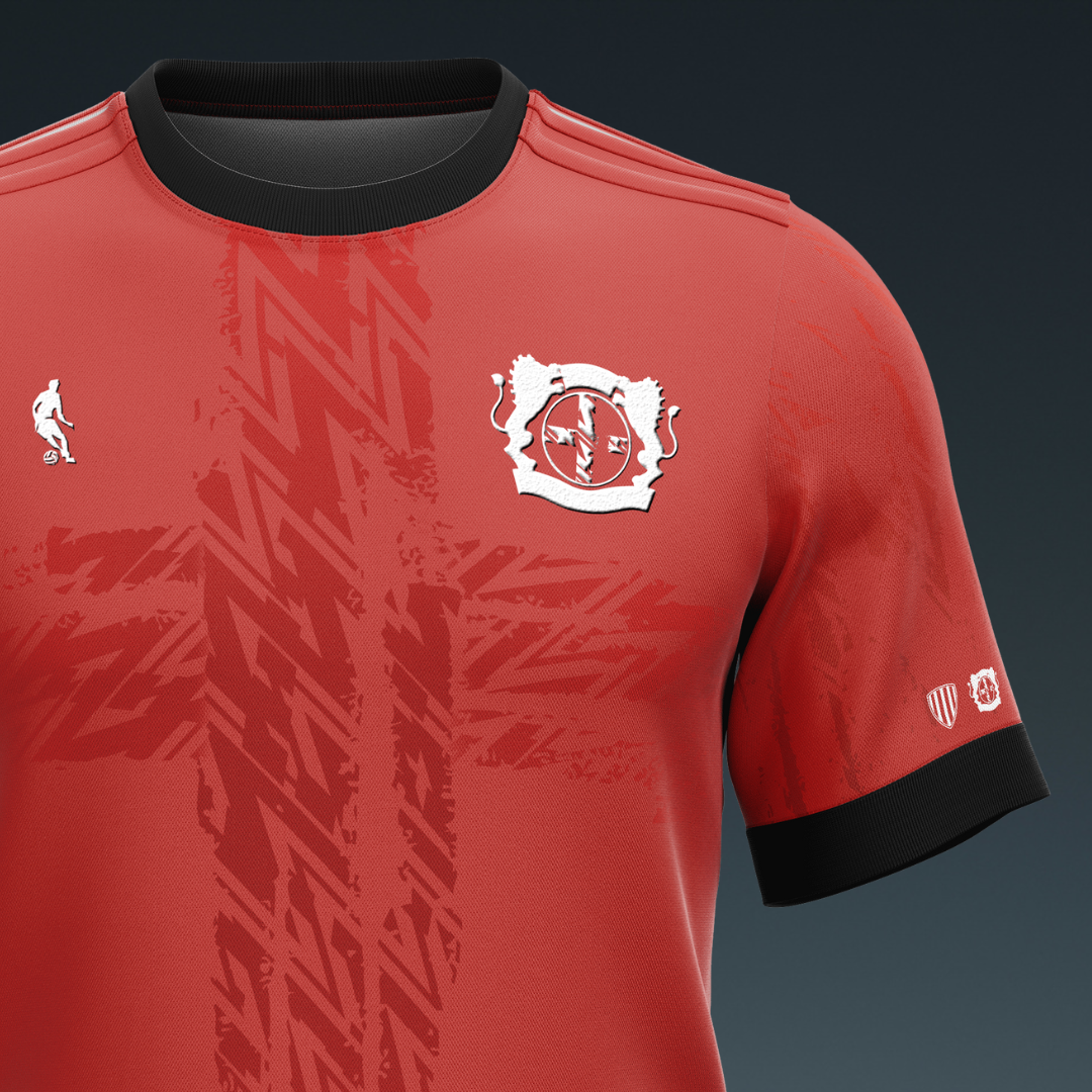 Los Leones de Leverkusen 