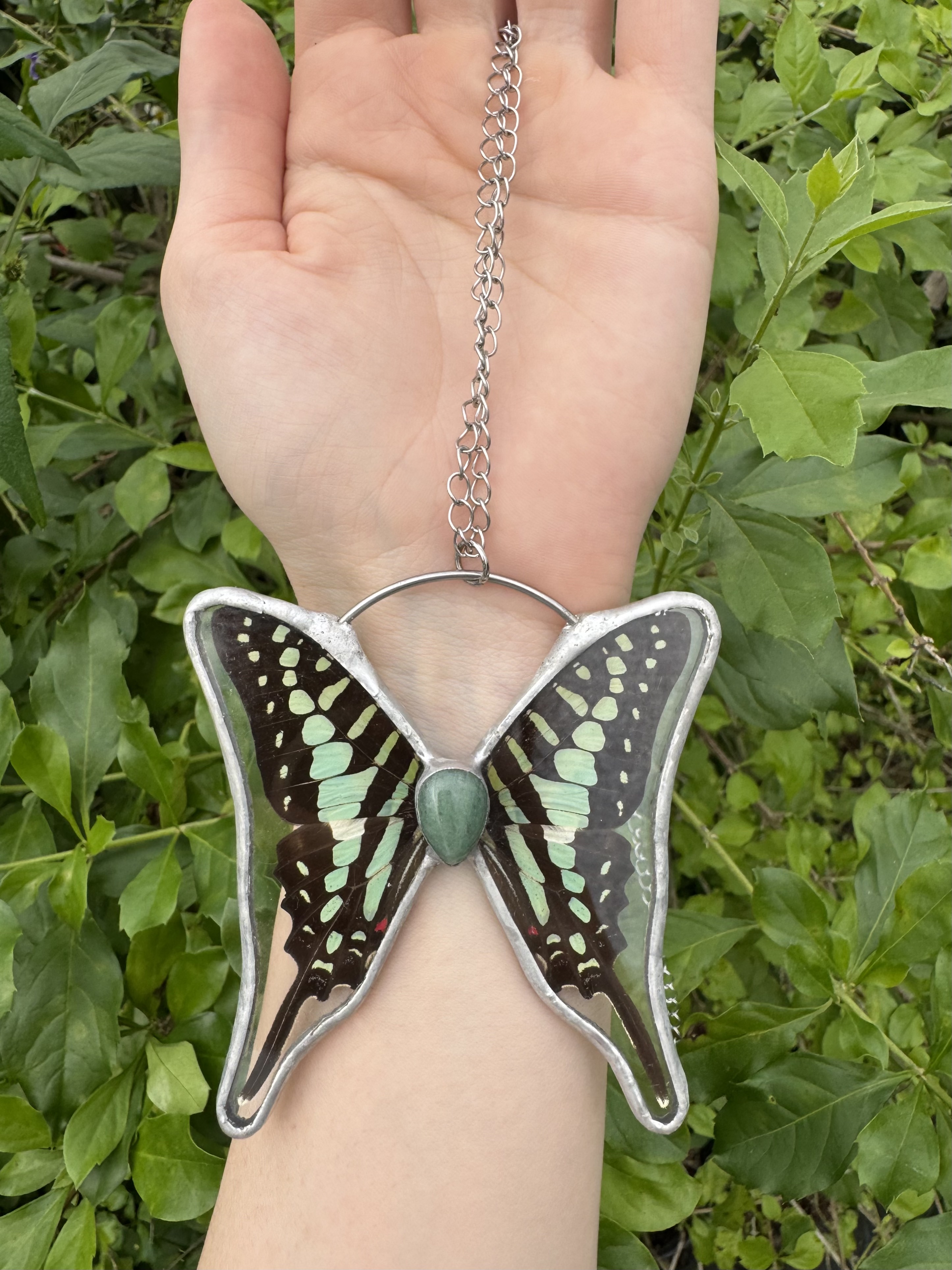 Small Striped Swordtail