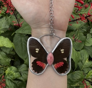 Pink Checked Cattleheart