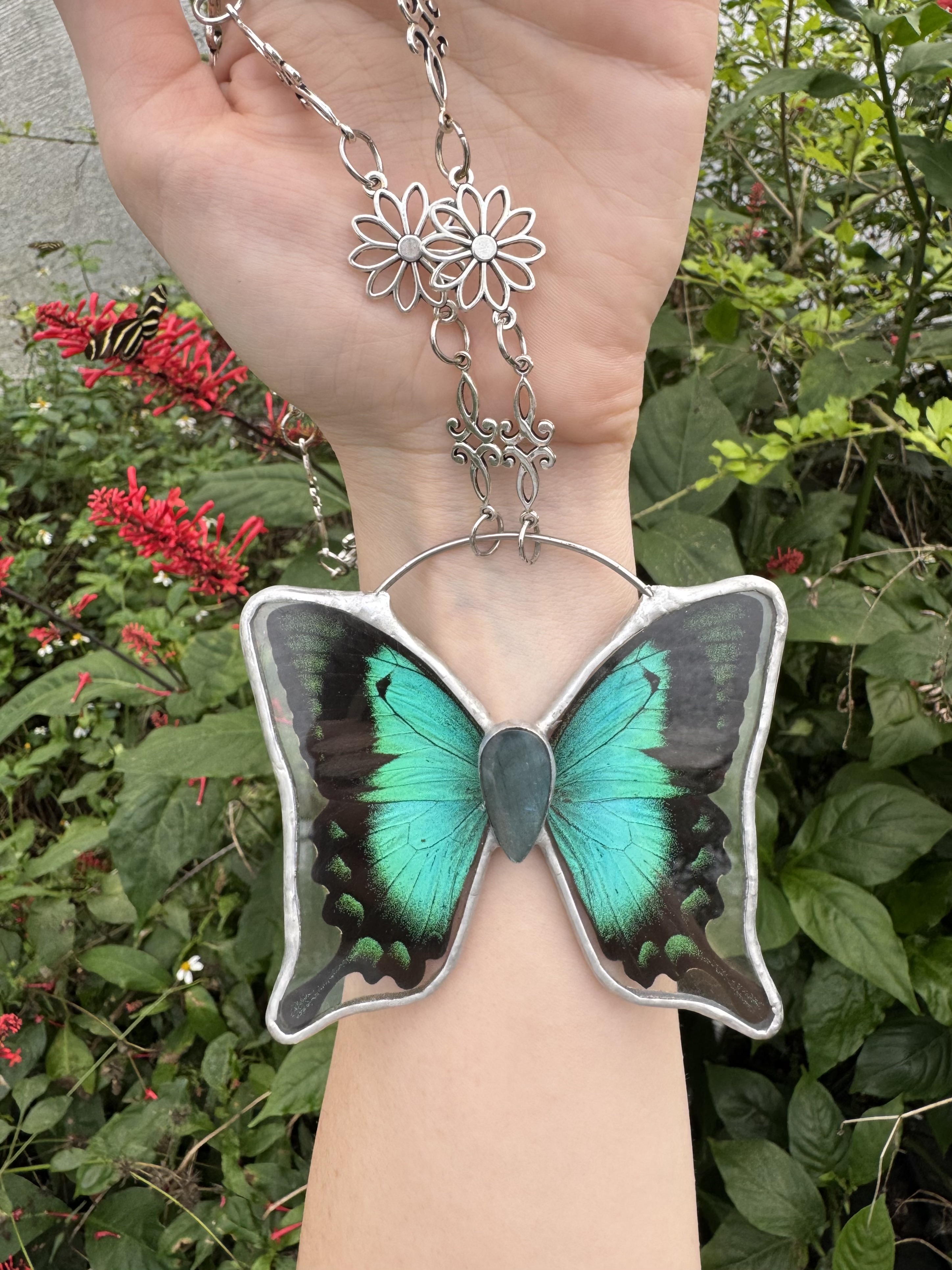 Sea Green Swallowtail
