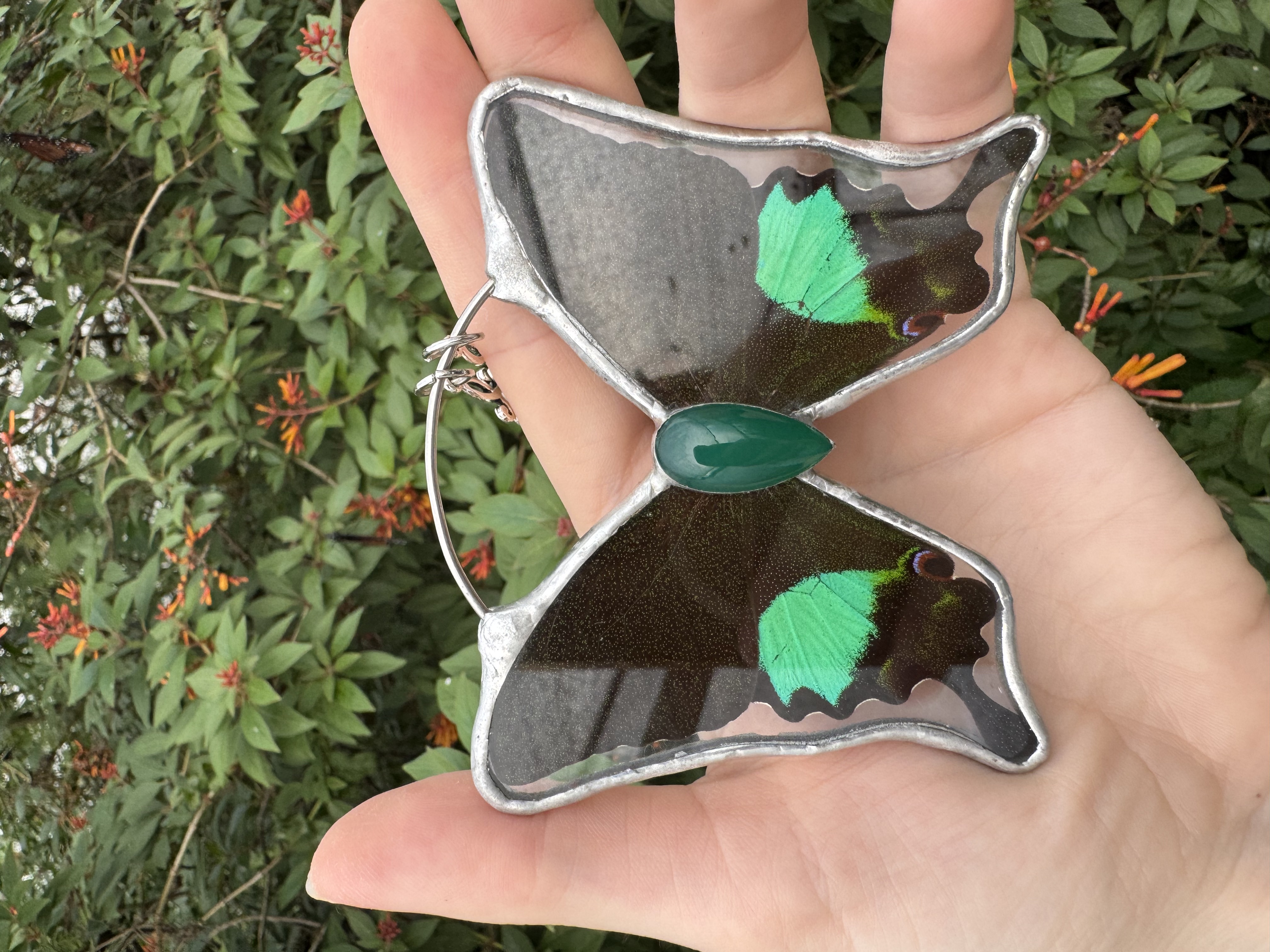 Jungle Jade Swallowtail