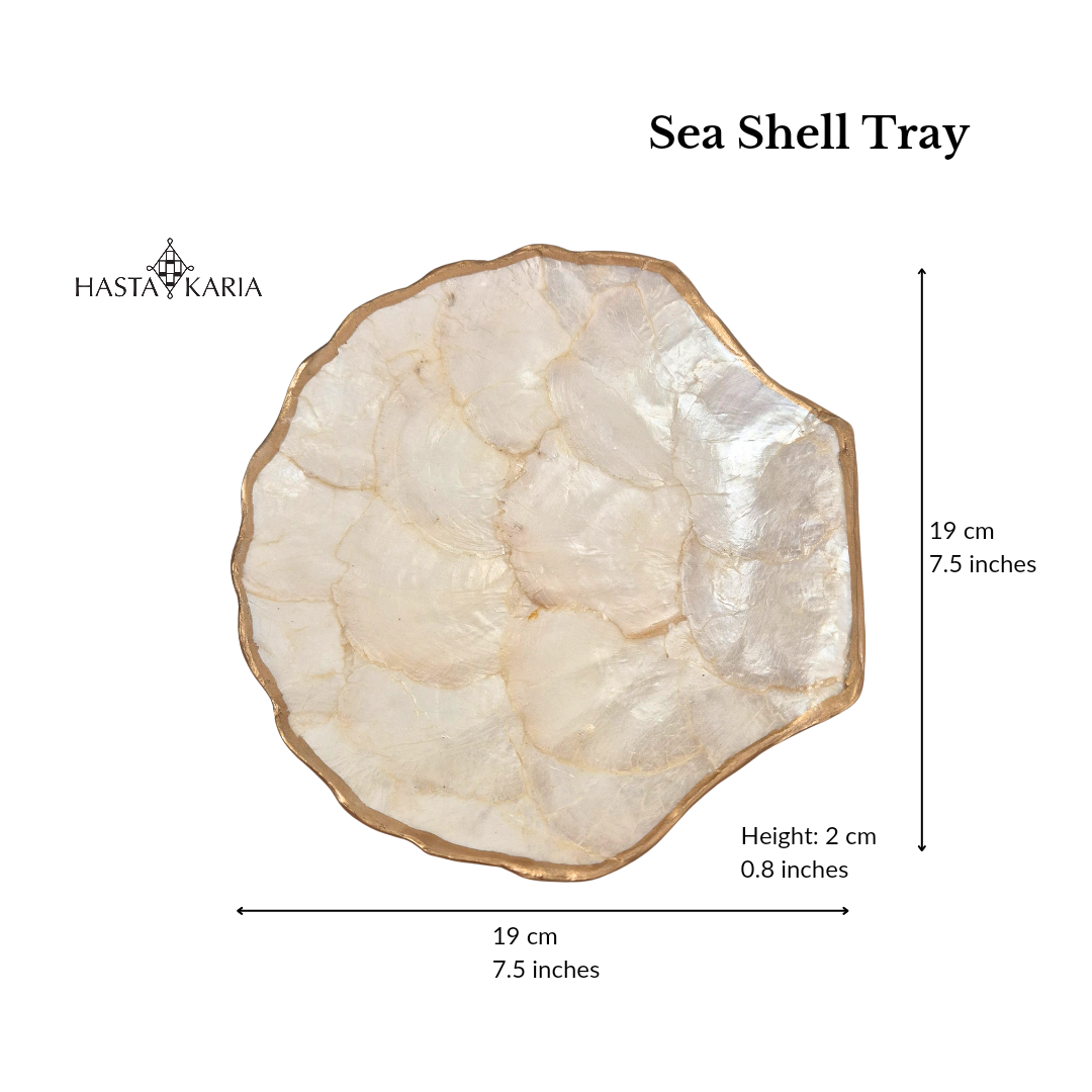 Sea Shell Accessories Tray
