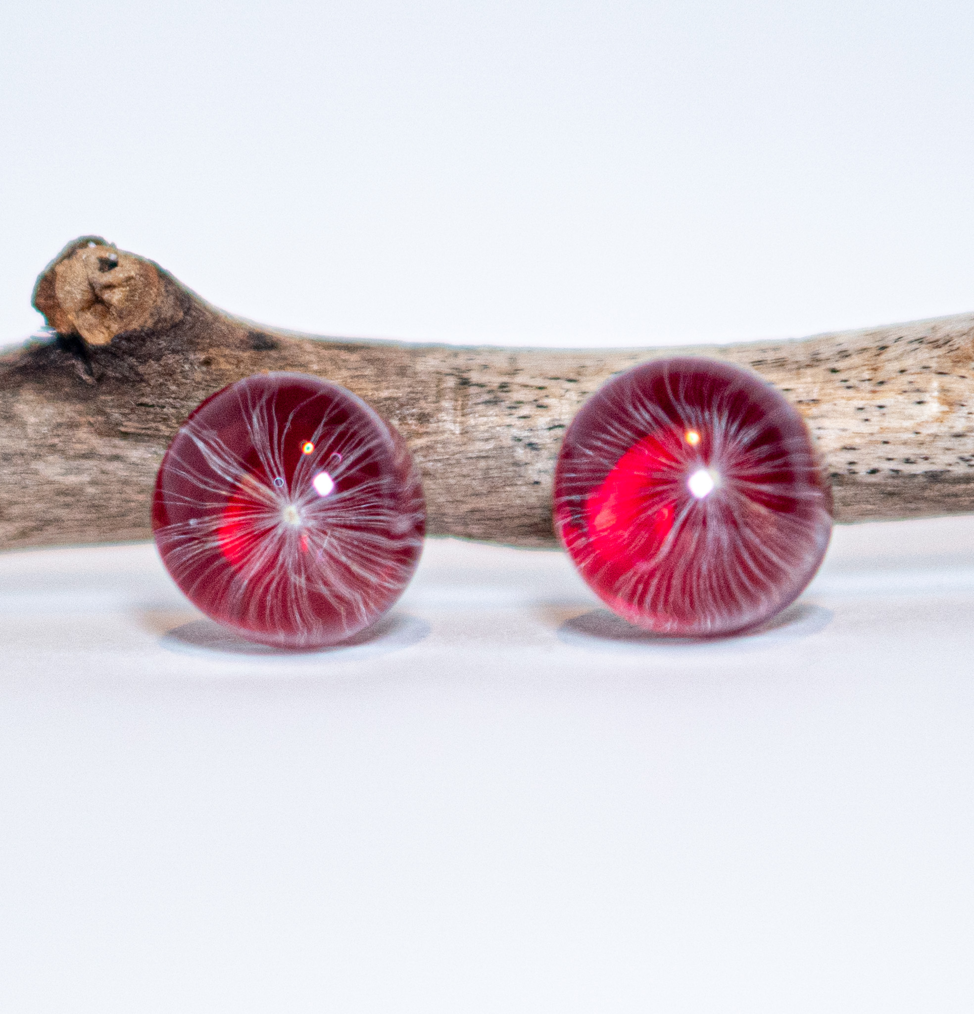 Graines de Pissenlit