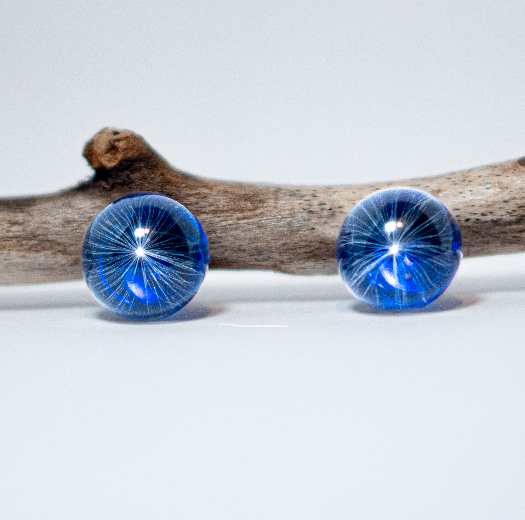 Graines de Pissenlit