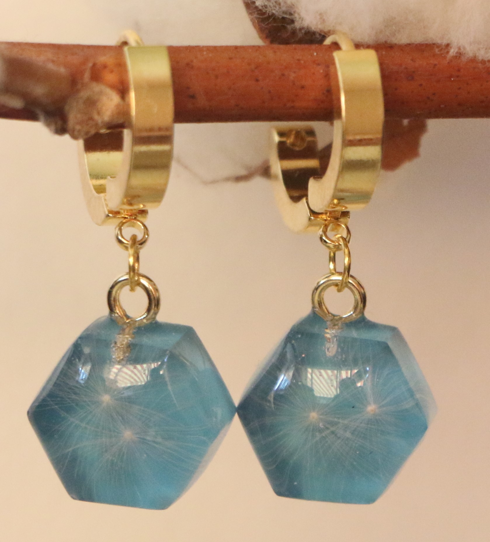 Graines de Pissenlit