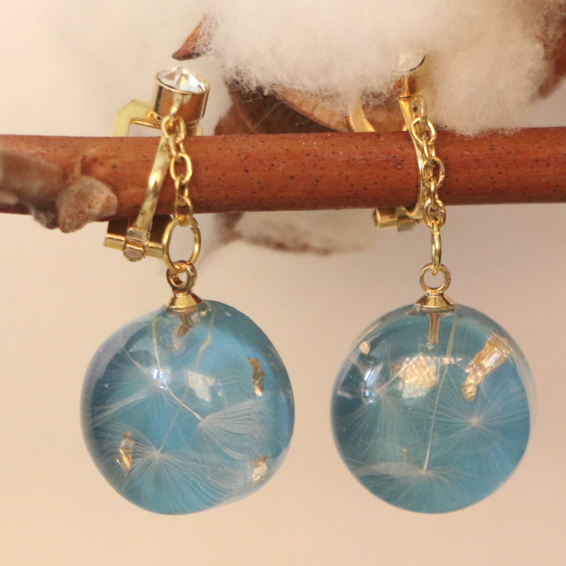 Graines de Pissenlit