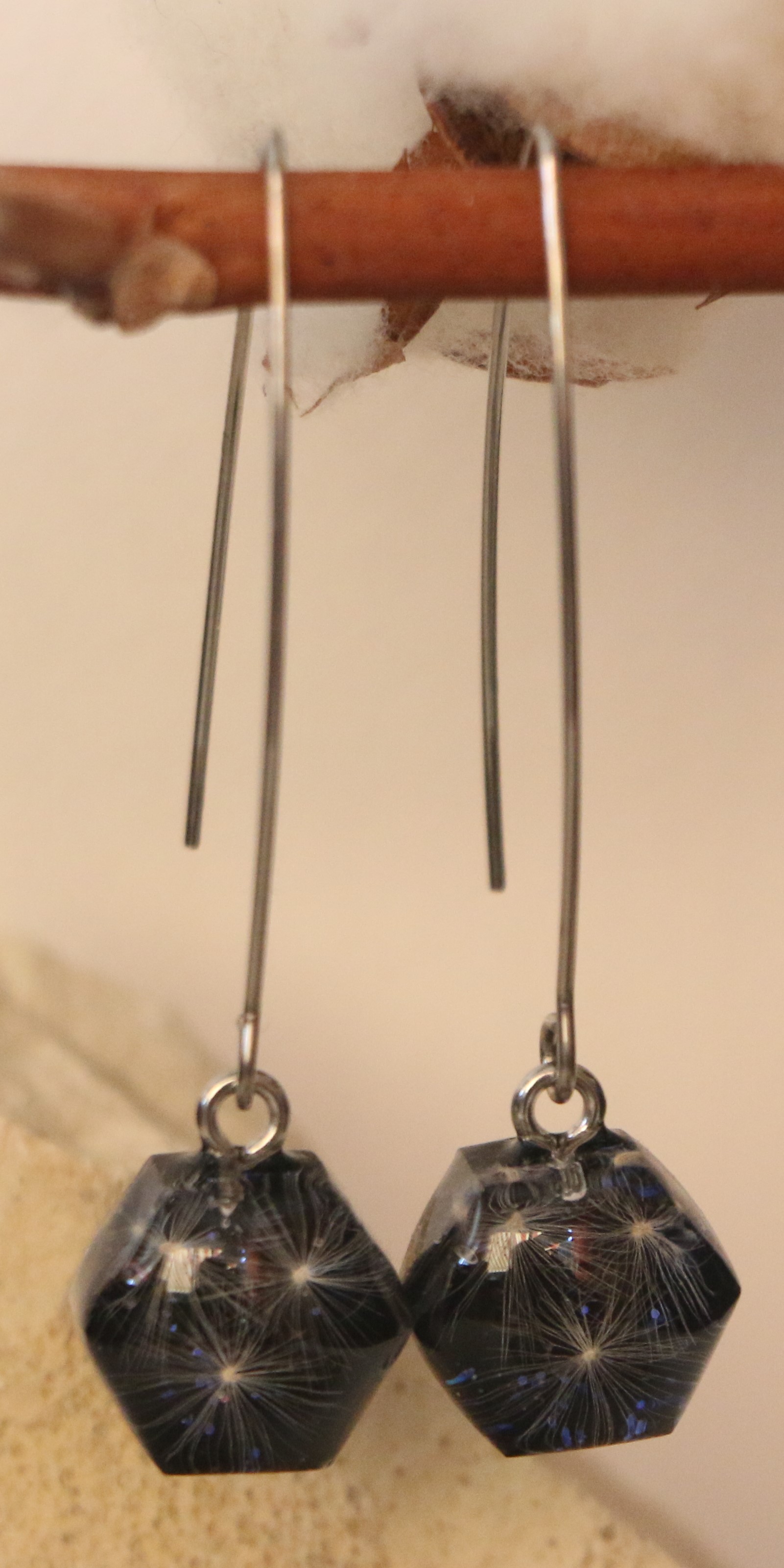 Graines de Pissenlit