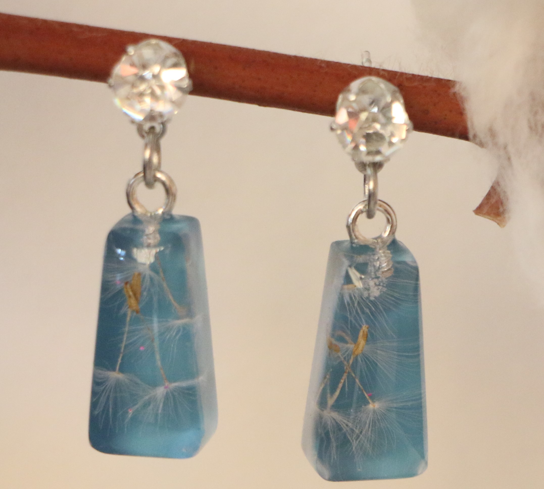 Graines de Pissenlit