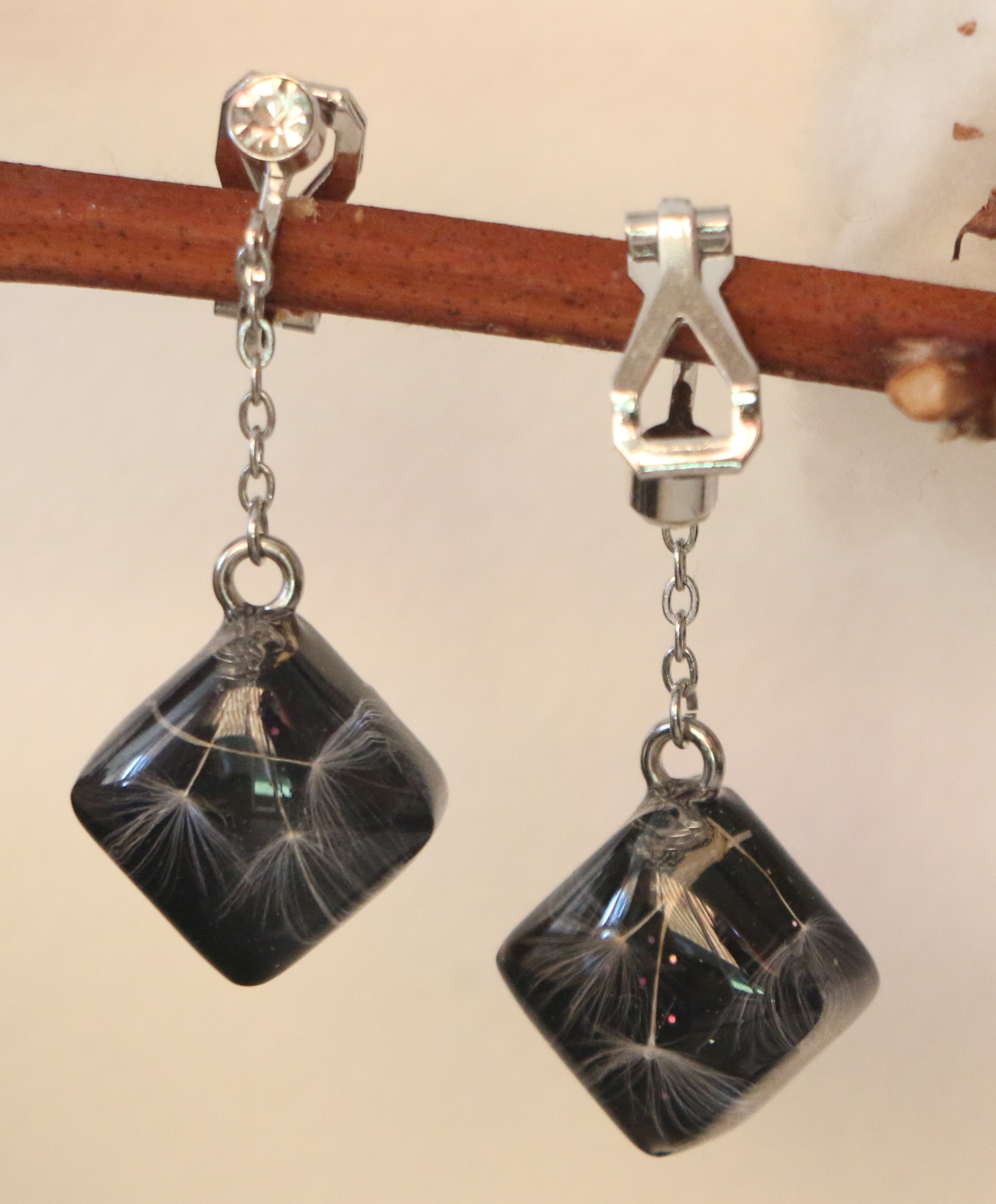 Graines de Pissenlit