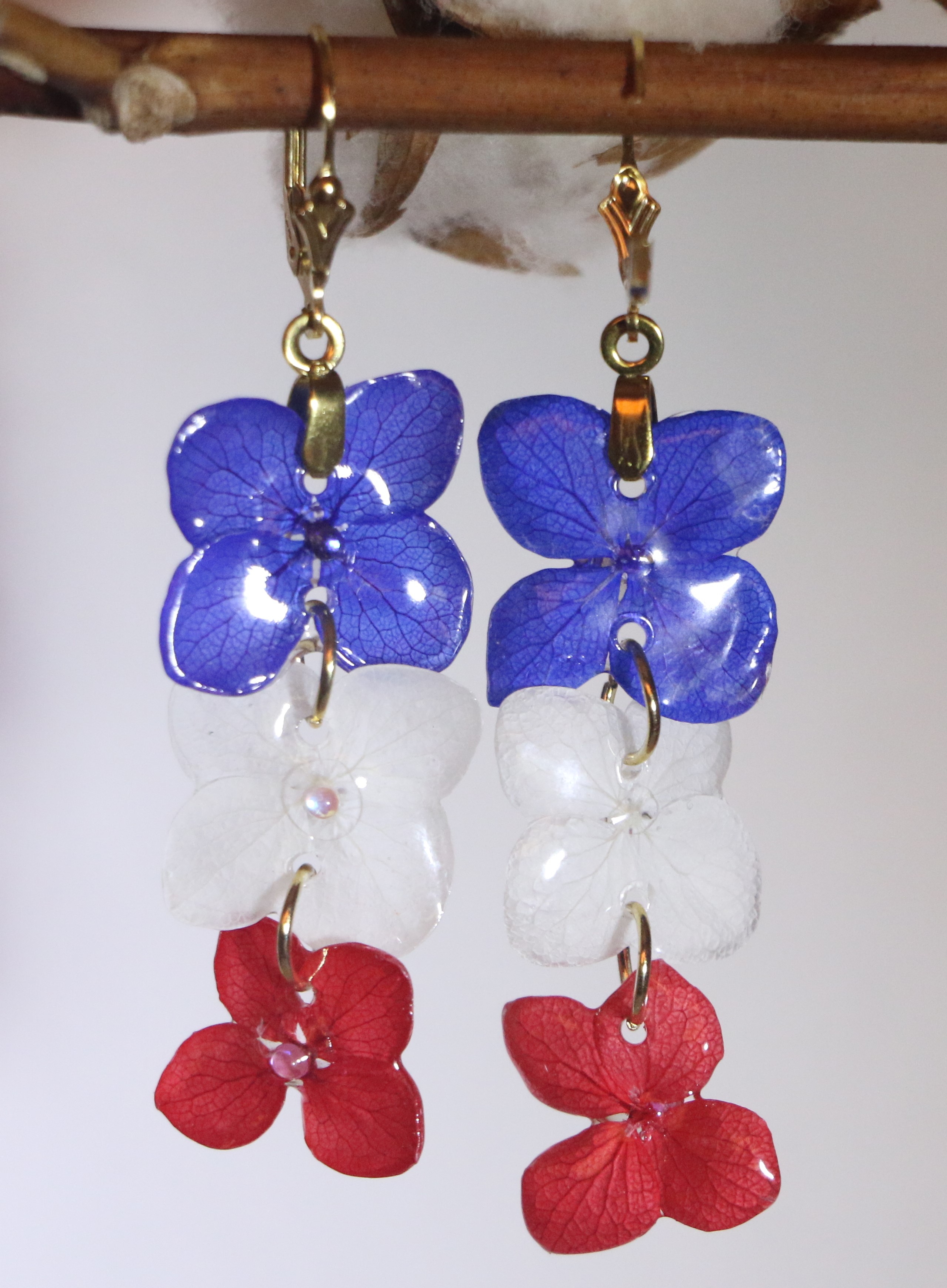 Hortensia stabilisé Tricolore