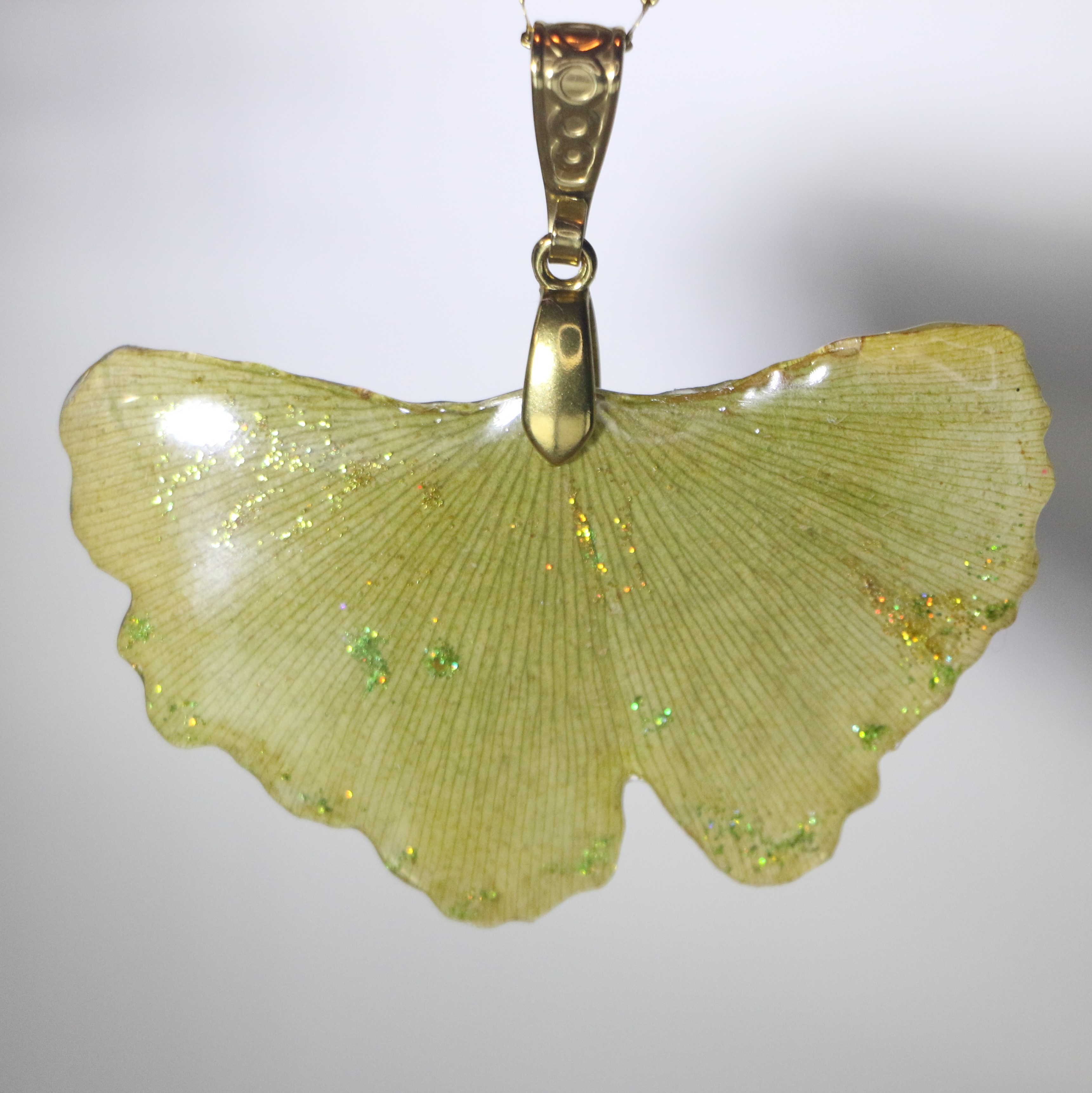 Pendetif Ginkgo Biloba