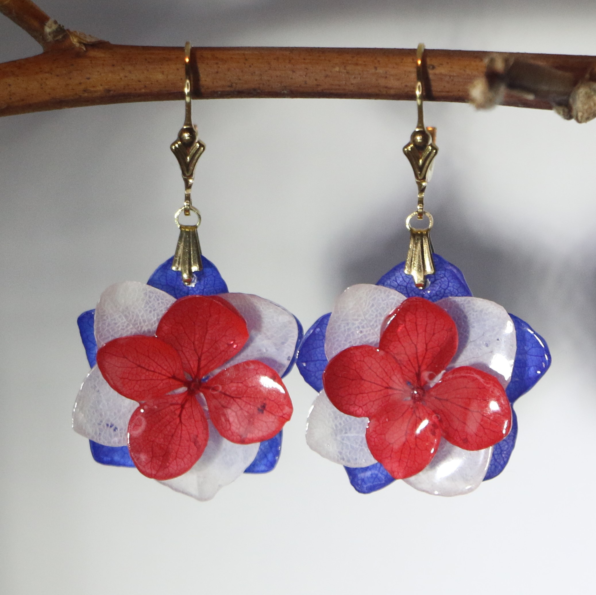 Hortensia stabilisé Tricolore cocarde