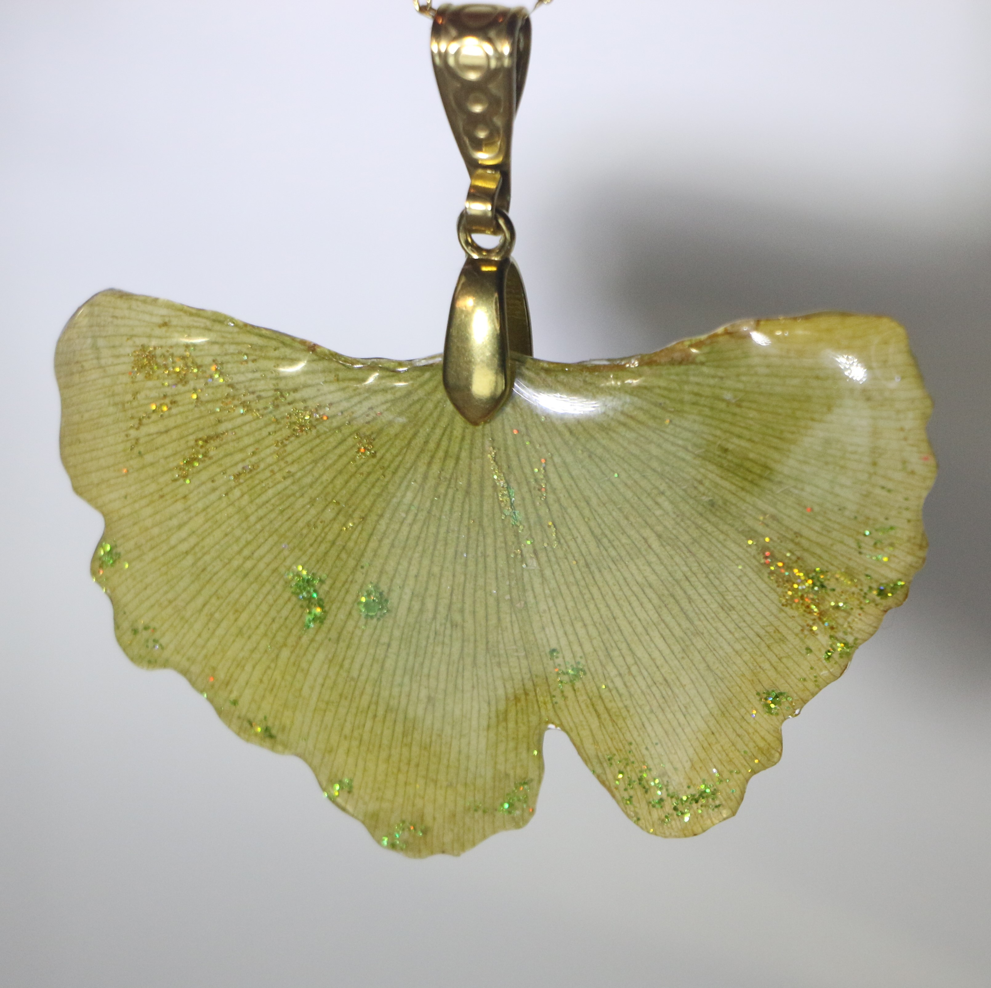 Pendetif Ginkgo Biloba