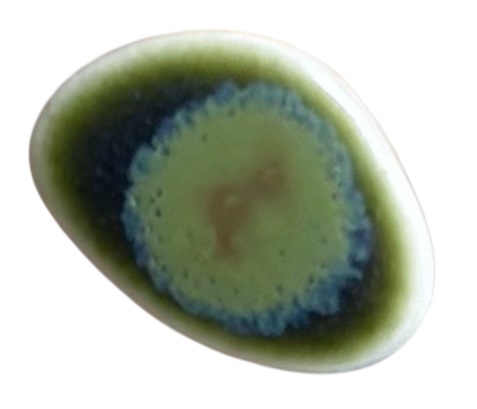 Stud Pebble Earring Pair-Ivy