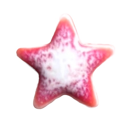 Studio 23 Star stud earrings - Raspberry