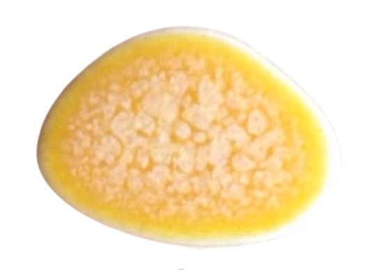 Stud Pebble Earring Pair-Orange