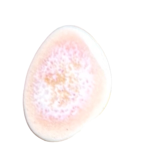 Stud Pebble Earring Pair-Coral