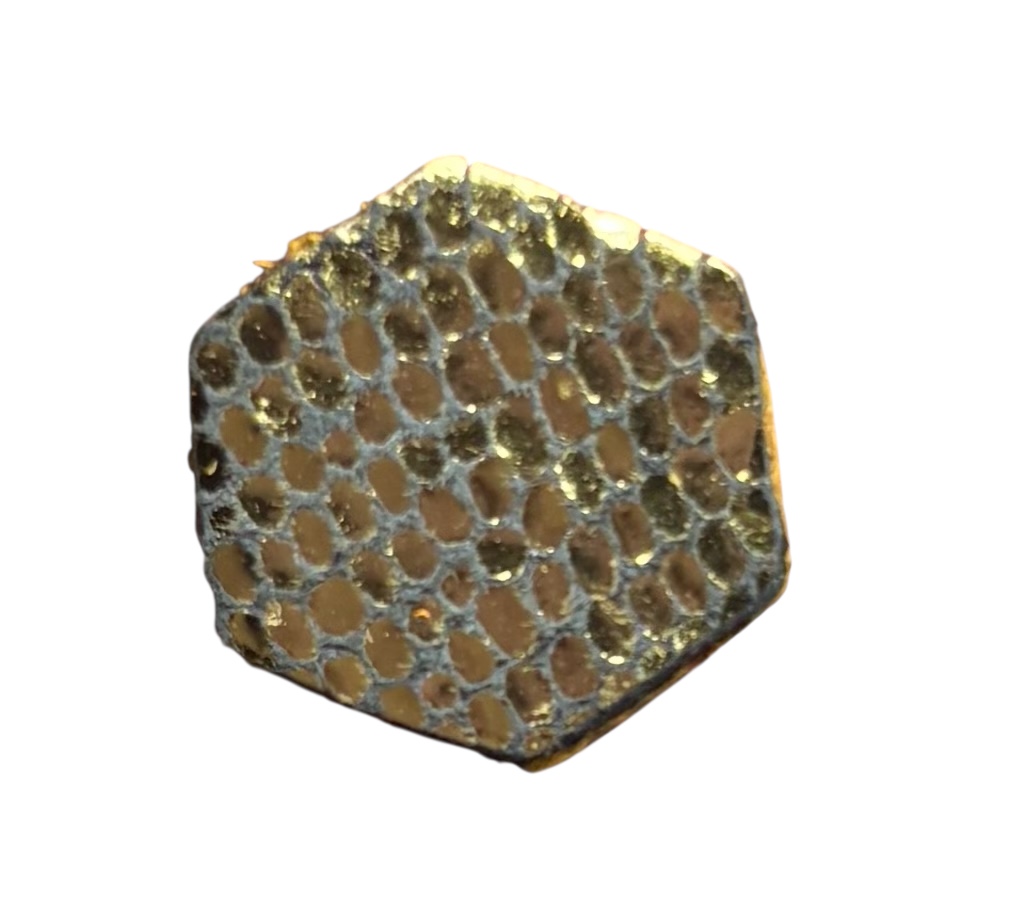 HEXAGON STUDS - LIZARD GOLD