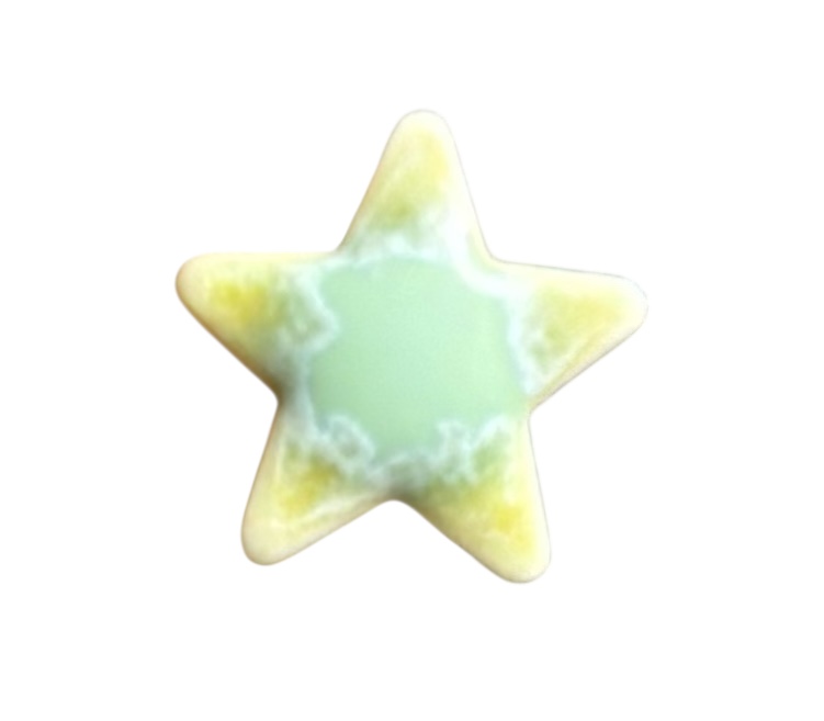 Studio 23  Star stud earrings - Ivy