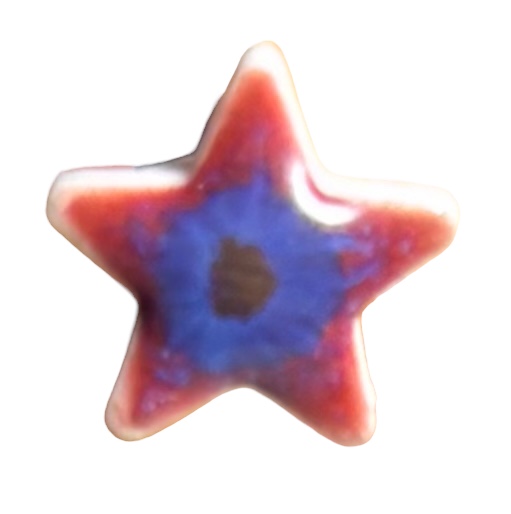 Studio 23 Star stud earrings - Burgundy/Navy