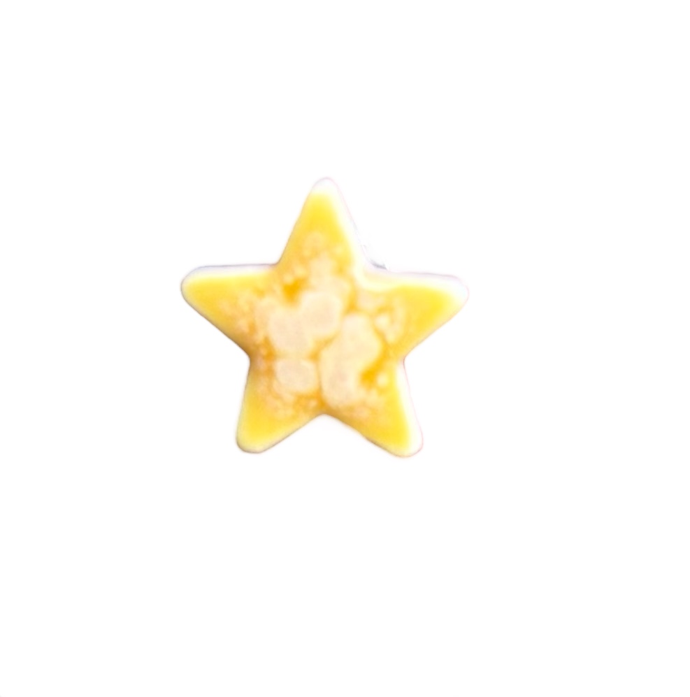 Studio 23 Star stud earrings - Orange