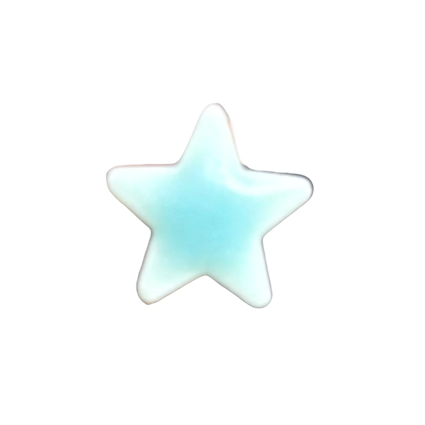Studio 23 - Star stud earrings - Turquoise