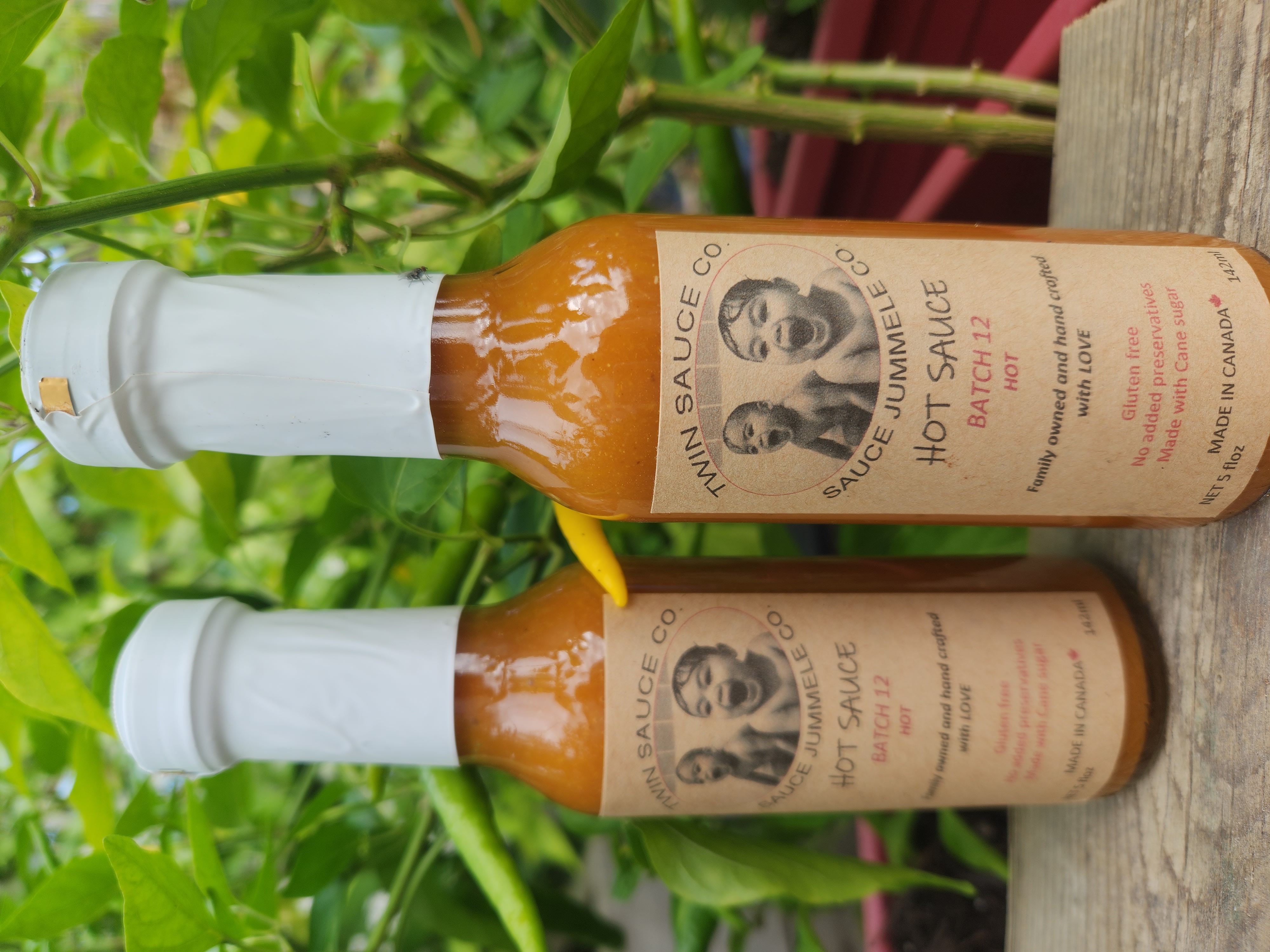 Batch 12  -ONLINE PURCHASE COMING SOON